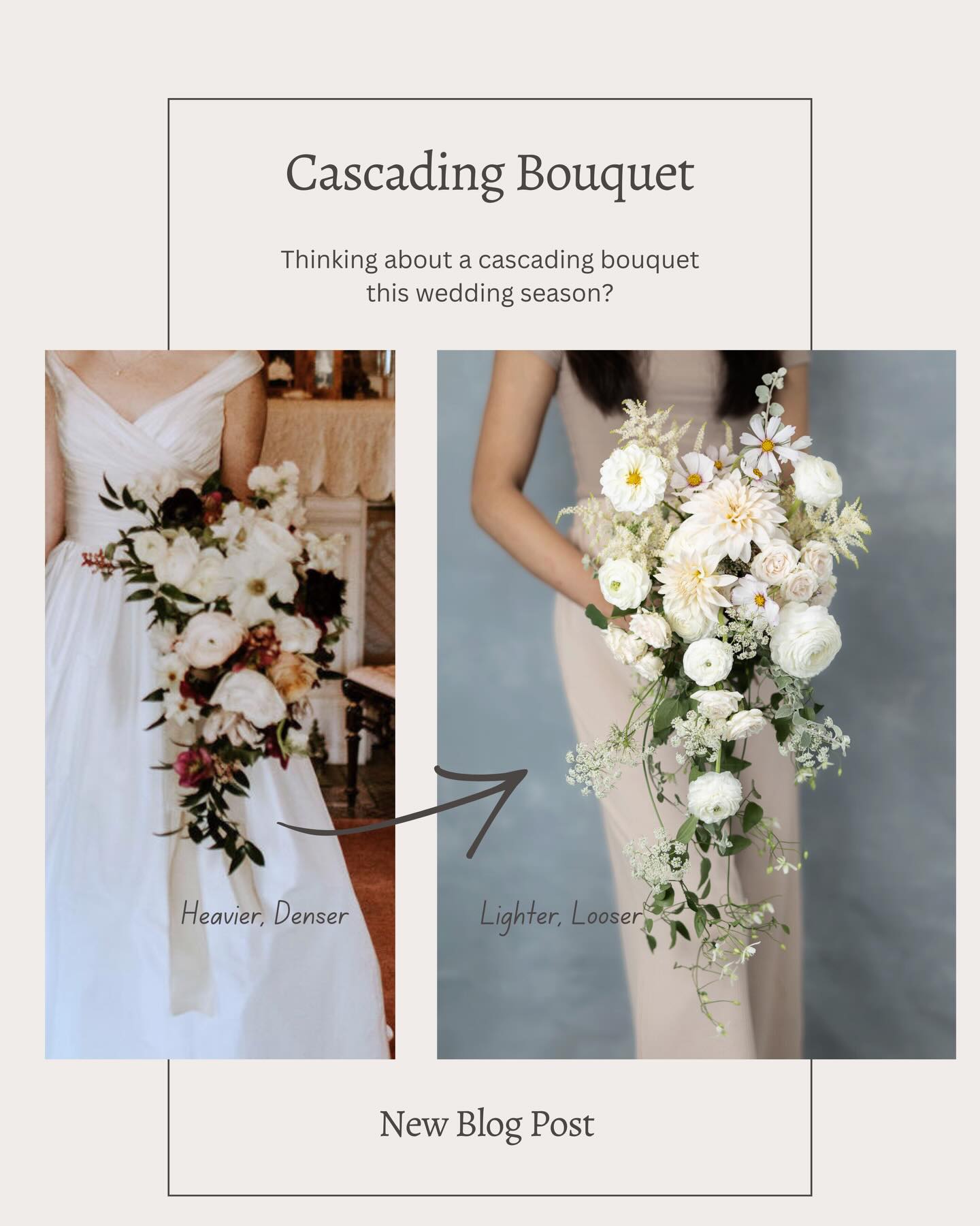 Making cascading bouquets with natural stems can be challenging, and it was for me for many years. My cascading bouquets used to look heavier and denser than I wanted, like the one on the left. But through experimenting and practice, I was gradually able to shift them into a lighter and looser design that I was aiming for 🌿
If you feel unsure and not confident with cascading bouquets, I wrote about what I learned to improve mine over years in a new blog post 😊
.
.
.
.
.
#stemslider #cascadingbouquet #weddingbouquets #bridalbouquets #cascadebouquet