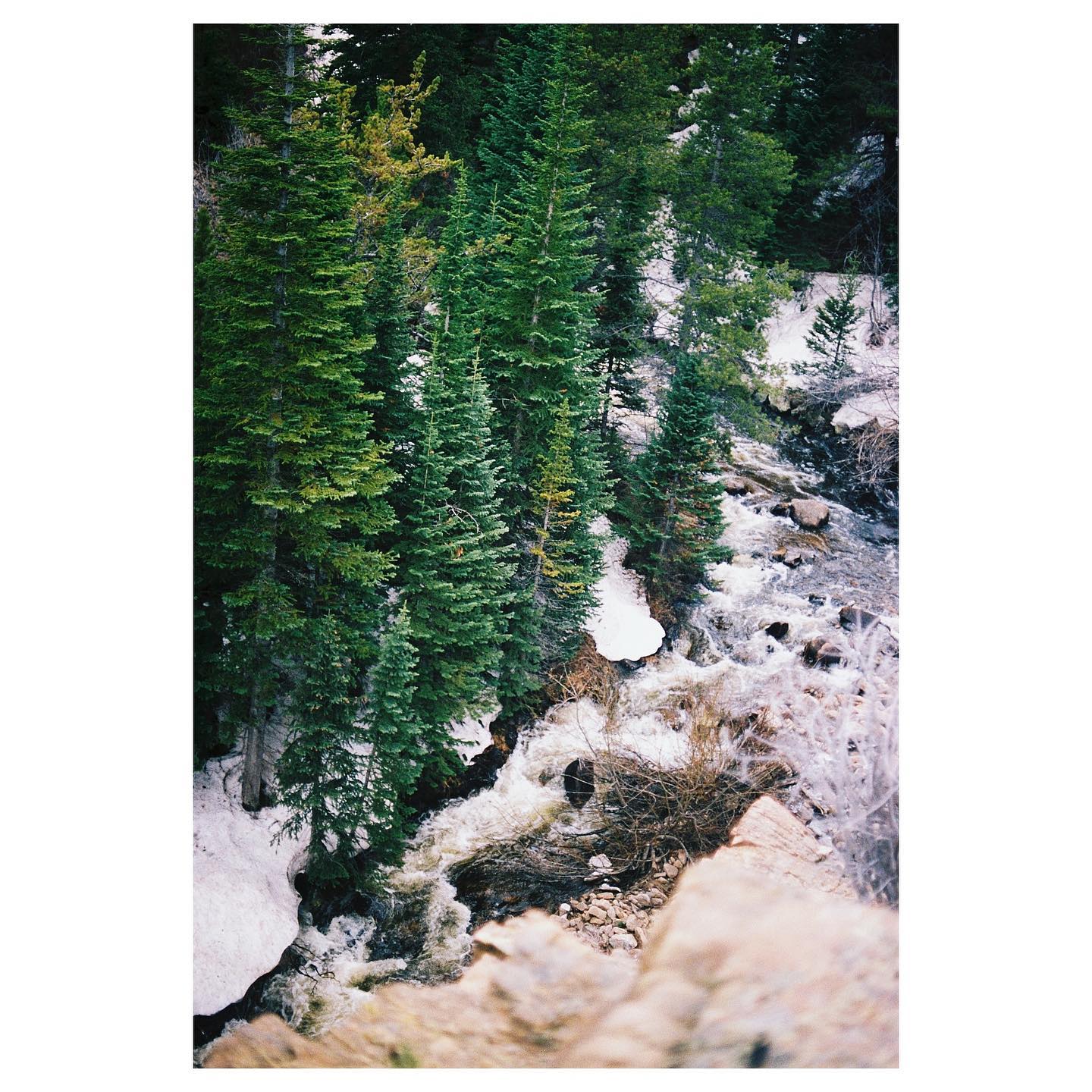 in the Rockies
📷: canon ae-1 / kodak portra 400
#ae1 #35mm #canon #canonae1 #portra400 #kodak #kodakportra400