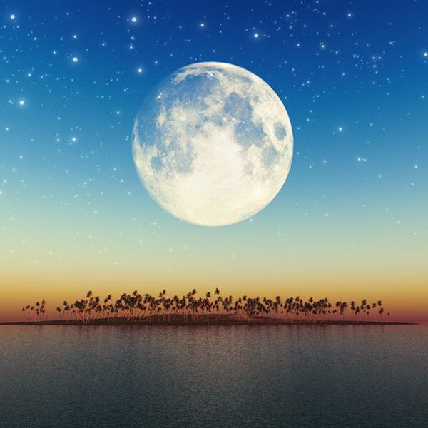 Because trees help to attract clouds and therefore rain from out at sea, many islands rely on healthy forest cover to sustain an abundance of water. There are numerous examples of island nations that have cut most of their trees and soon after lost their rains, plummeting into hunger and poverty due to the collapse of their ecosystems. Restoring tree cover has been essential for their recovery. Islands are microcosms of larger land masses. The swift downward spiral that can be experienced within a decade on an island takes much longer, even multiple generations, on larger land masses and can leave the population unaware of the root cause of collapse due to loss of historical context. When we lose our trees and forests, we lose our freshwater supply. When we strategically replant them, we are able to refresh the water system and create an upward ecological cycle that benefits all beings.
One of the easiest ways to increase the global forest is to help plant trees by switching your web browser to @Ecosia to plant trees for free while you search the web. Ecosia.org is the ‘search engine that plants trees’ by donating 80% of their advertising revenue to effective tree planting projects around the world with a focus on biodiversity hotspots.
Subscribe to @_trees_are_awesome for more inspiring nature content and to connect with easy ways to plant trees around the world.
#trilliontreescampaign #trilliontrees #reforestation #generationrestoration #wildnature #naturebeauty #naturetherapy #incrediblenature #beauty_of_nature #wow_planet #givebacktonature #nature_inspiration #naturemeditation #natureinspiredbeauty #naturelifeearth #naturelifeearth #mothernaturerocks #jawdroppingshots #treeplanting #planttrees #treeconnection #treephotography #landscapelove #treeloves #loveforests #waterislife #freshwater #watersheds #treephotography #watersource