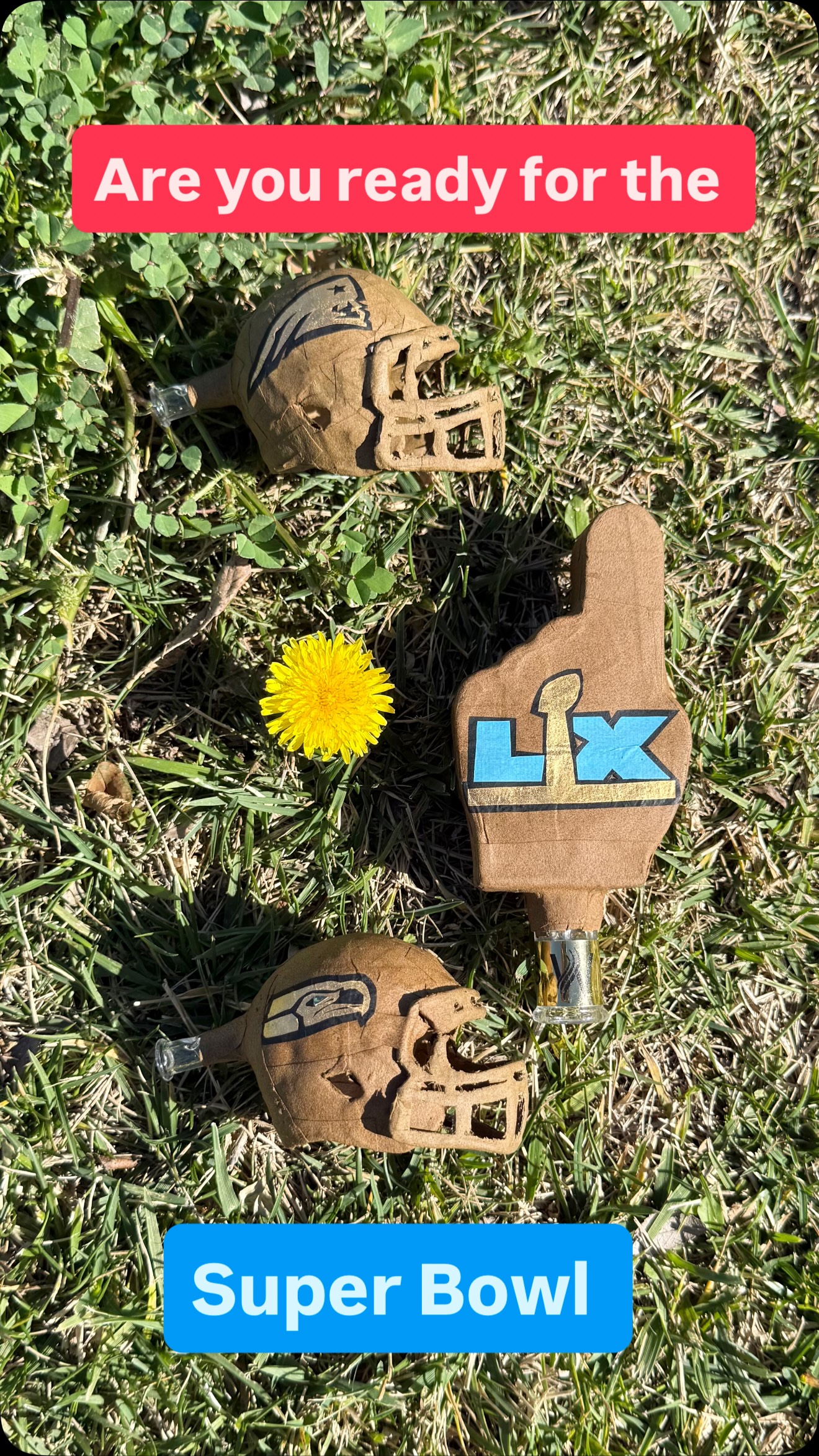 My team isnât in the Super Bowl but Iâm still showing support.
I hope itâs a great game to watch!