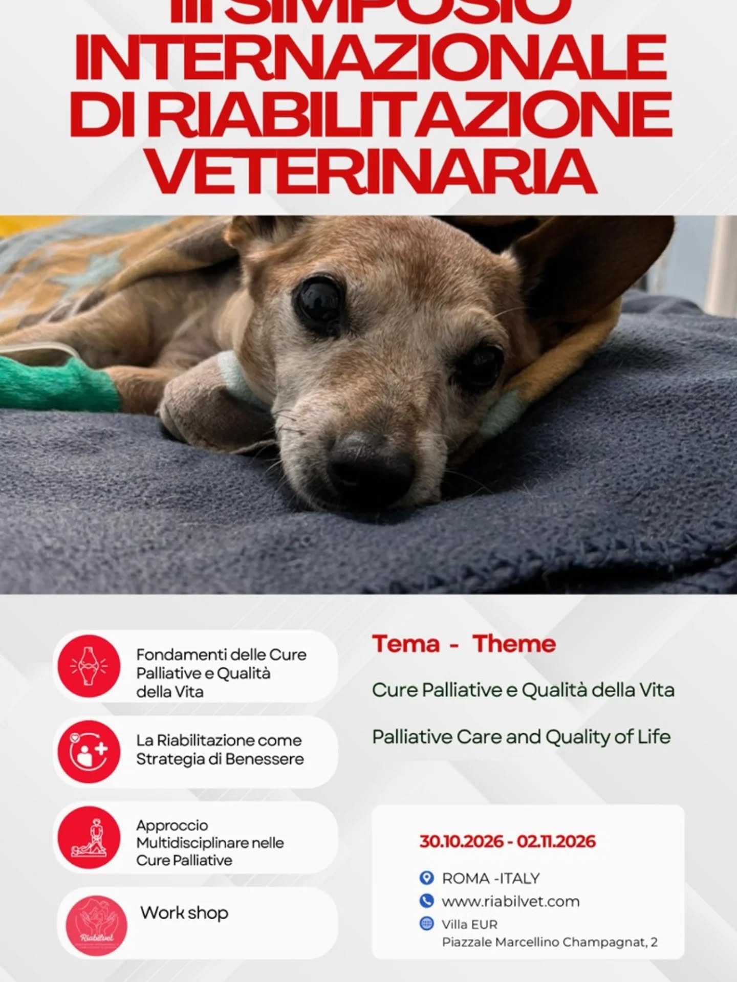 🎉 Le iscrizioni sono ufficialmente aperte!
Sono attive le tariffe EARLY BIRD per il
III Simposio Internazionale di Riabilitazione Veterinaria – RIABILVET 2026
📍 Roma
📅 30 ottobre – 2 novembre 2026
Tre giorni di:
🔬 aggiornamento scientifico avanzato
🤝 confronto internazionale
📚 casi clinici e pratica basata sull’evidenza
🎟️ Le tariffe Early Bird sono disponibili per un periodo limitato.
👉 Approfitta ora delle condizioni agevolate e assicurati il tuo posto.
🔗 Iscrizioni sul sito: www.riabilvet.com
#Riabilvet2026 #EarlyBird #IscrizioniAperte #RiabilitazioneVeterinaria #MedicinaVeterinaria EventoInternazionale
🇬🇧
🎉 Registrations are officially OPEN!
EARLY BIRD rates are now available for the
III International Veterinary Rehabilitation Symposium – RIABILVET 2026
📍 Rome
📅 October 30 – November 2, 2026
Three days of:
🔬 advanced scientific education
🤝 international networking
📚 evidence-based clinical practice
🎟️ Early Bird tickets are available for a limited time only.
👉 Secure your spot now and take advantage of special rates.
🔗 Register now at: www.riabilvet.com
Riabilvet2026 EarlyBirdRegistration RegistrationOpen VeterinaryRehabilitation VeterinaryConference InternationalEvent