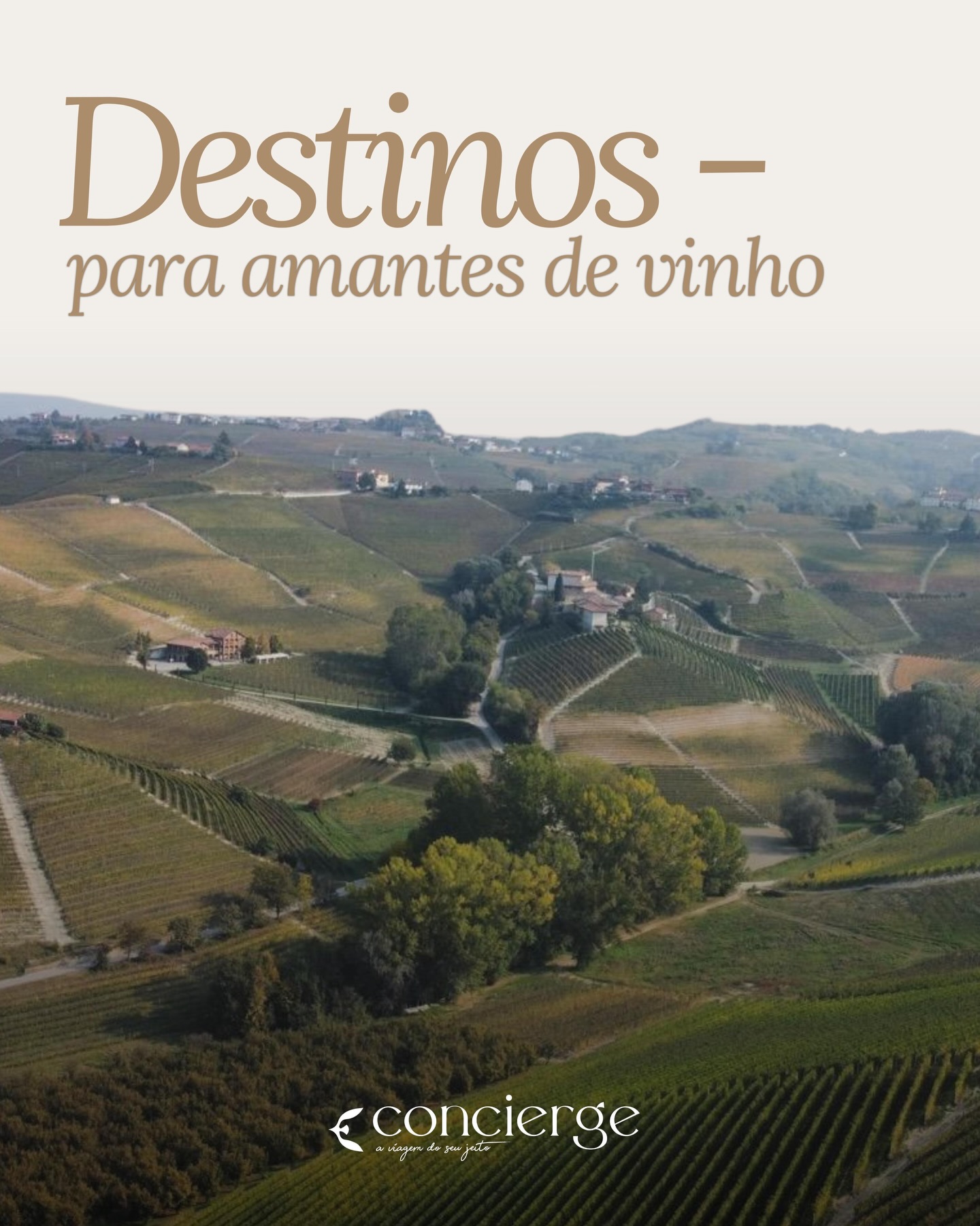 Se você ama vinho, precisa colocar essa experiência na sua lista! Vem conferir nossas sugestões de destinos perfeitos pra conhecer algumas das regiões de bodegas e vinhedos mais prestigiados do mundo.
Valem a viagem!
Mergulhe na degustação e em paisagens incríveis com a gente.