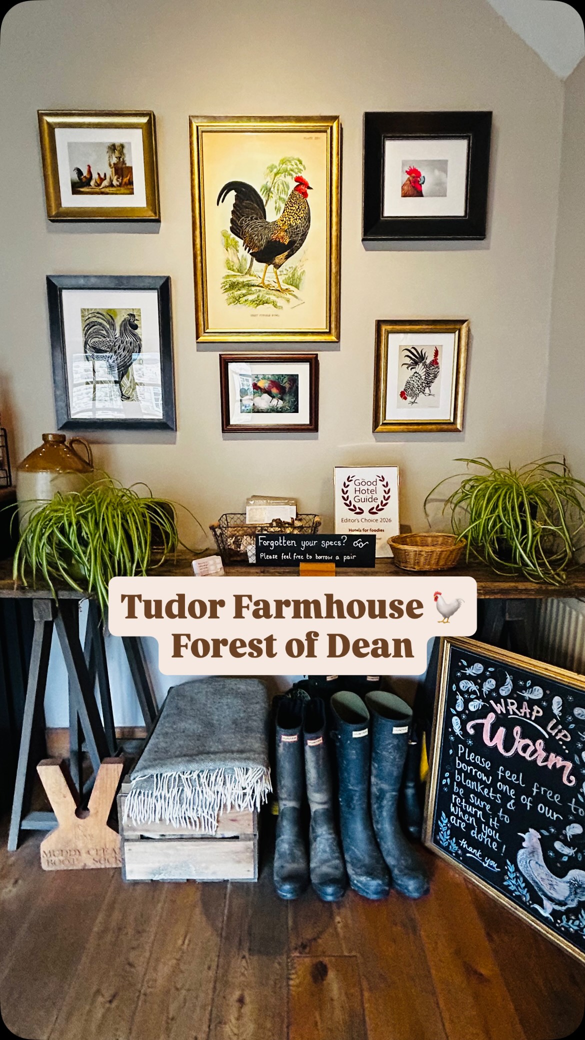 Swapping one rainy weekend in Warwickshire for another in the Forest of Dean… 🌳
A relaxing Winter break at the gorgeous Tudor Farmhouse 🐓. Beautiful stay with delicious locally produced food and a very friendly welcome (plus home comforts for the 🐾).
The weather may be miserable outside, but it never can dampen the scenery! 🌳 Highly recommend a visit to the Sculpture Trail at Beechenhurst too, if you happen to be in that neck of the woods. 😉
Feeling refreshed and energised now for the week ahead! How has your week started?
Happy Monday all. 🧡
📍 @tudorfarmhousehotel
🌍 Wye Valley/Forest of Dean
#tudorfarmhouse #wyevalley #forestofdean #weekendretreat #virtualassistantlife