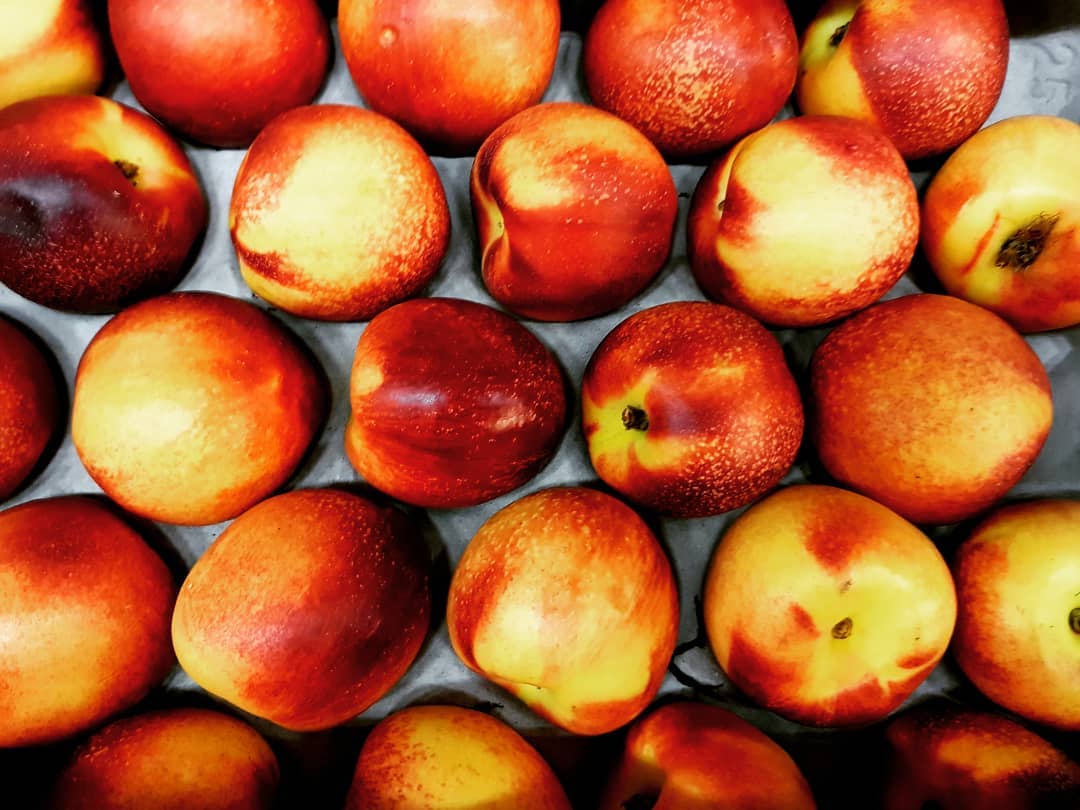 #nektarin #nektar #nectarine #nectarina #fruits #fruit #foodblogger #foodie #foodporn #fruitwholesale #fruitporn #fruity #southafrica #southafrican #wholesale #hamburg #germany
