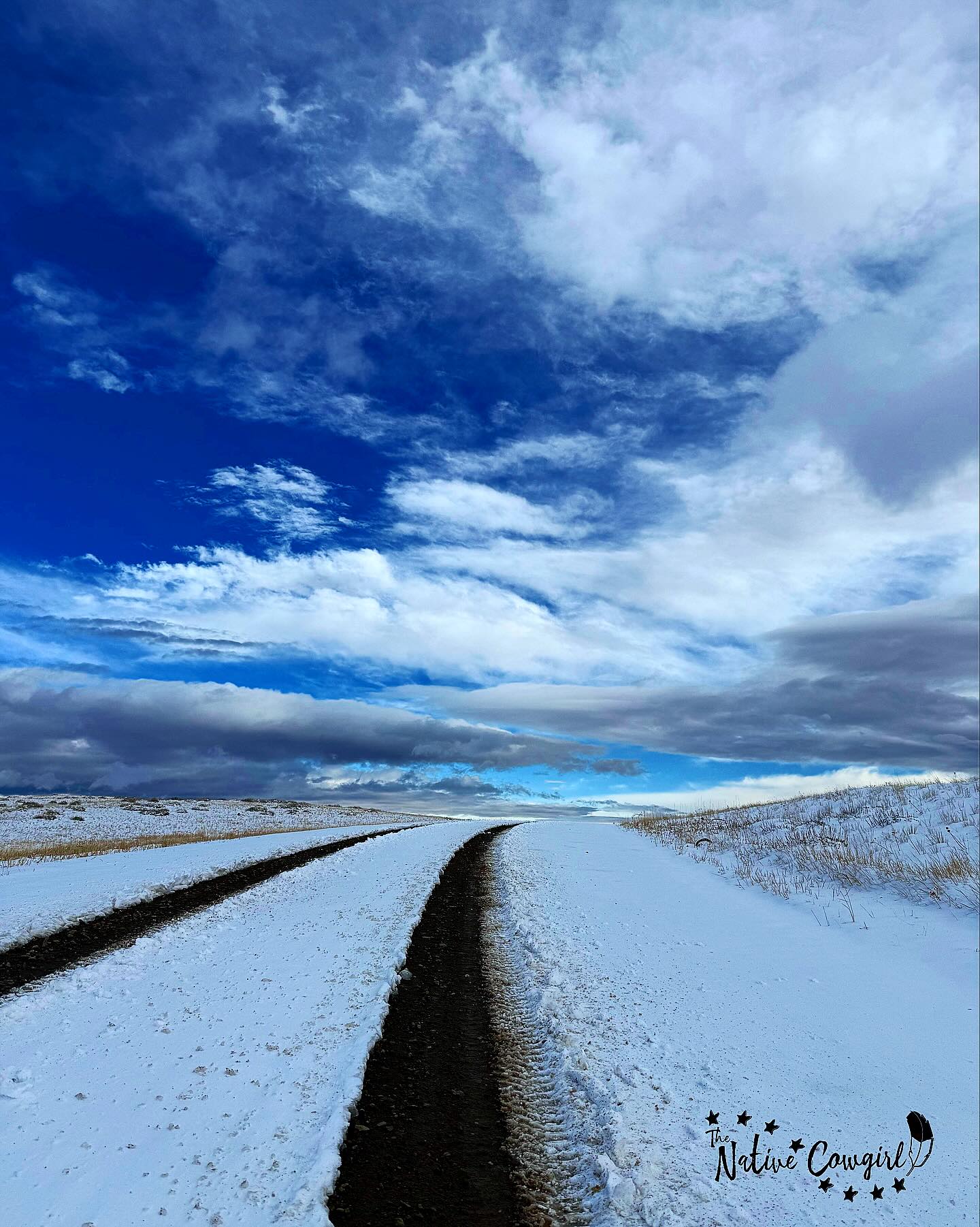 The road you’re walking isn’t accidental.
Every step matters.
You define your journey by your actions.
You shape it with your focus.
And you solidify it with follow-through.
No one else gets to choose this path for you.
You decide what you want…and you go after it.
Some days the road feels steady and clear.
Other days it’s rocky, steep, and uncertain.
But forward is still forward.
One foot in front of the other.
Eyes up. Heart steady.
Trust that every intentional step is creating the life you’re meant to live.
Choose your road.
Then walk it with purpose.
🪶Cheyenne, The Native Cowgirl