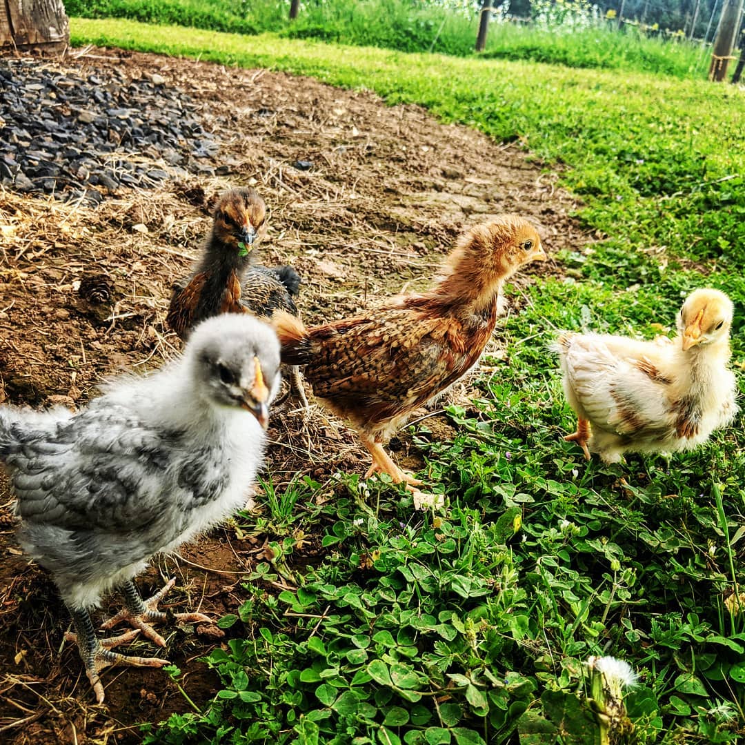 Quickly approaching awkward teenager phase