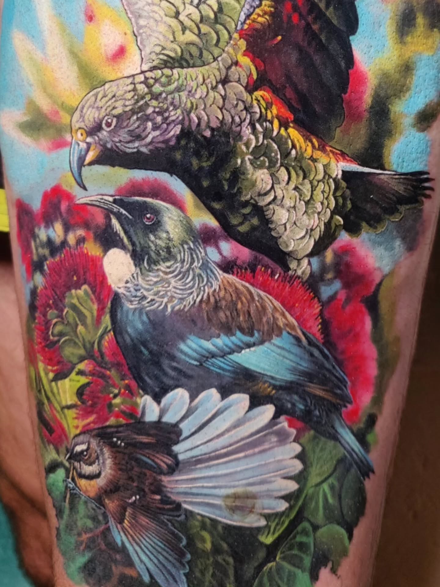 3 friends. The bottom two birdies are fully healed . Kea is fresh. Thank you so much for the fun project and great chats wooooop!
.
..
.
@intenzetattooink @eztattooing @ghostlineapp @afterart.newzealand @inkpro_nz @fkirons @hustlebutterdeluxe #intenze #intenzeink #intenzeteam #afterart #ghostlineapp