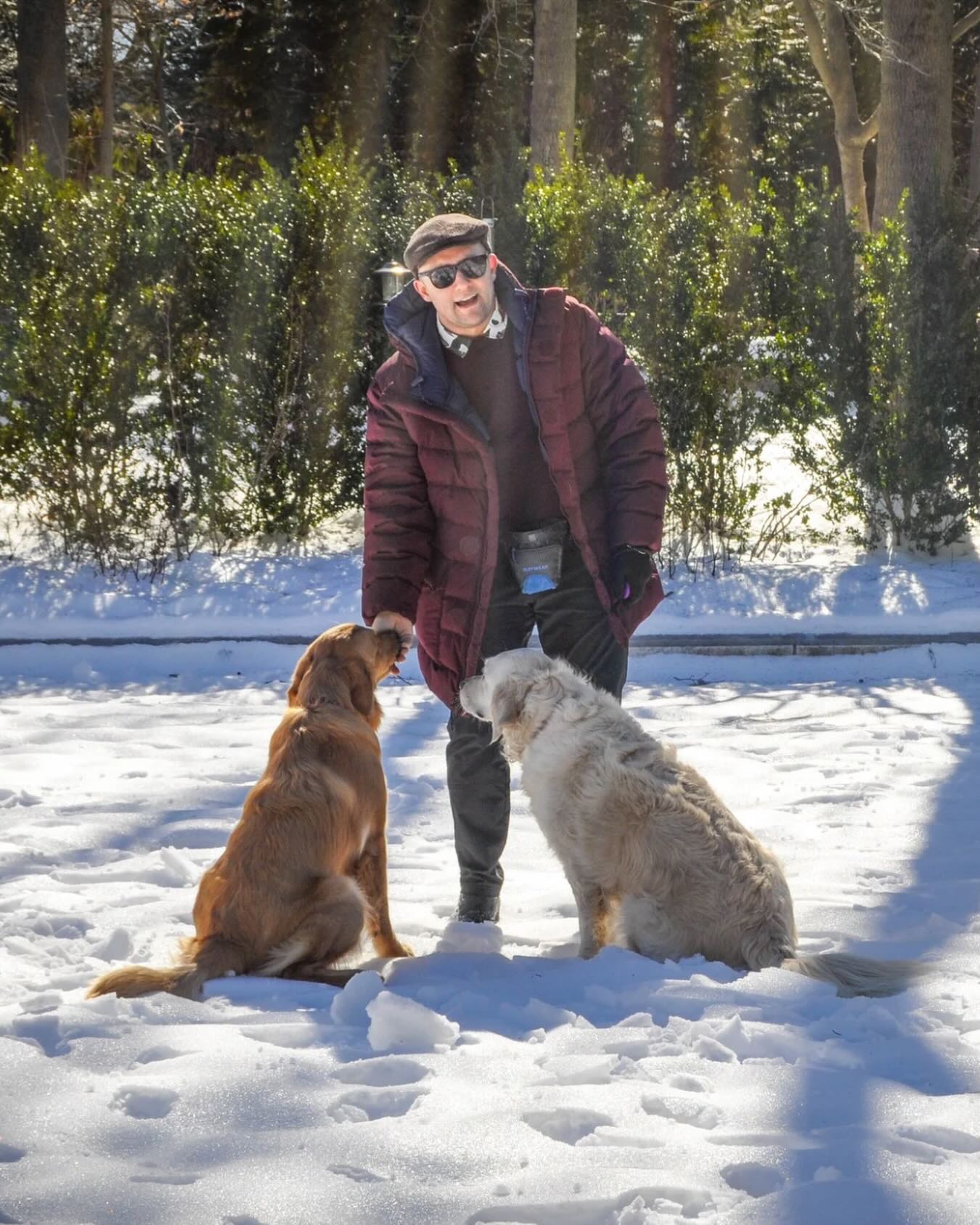 Teaching peace one treat at a time. #WagWithWilliam #PositiveReinforcement