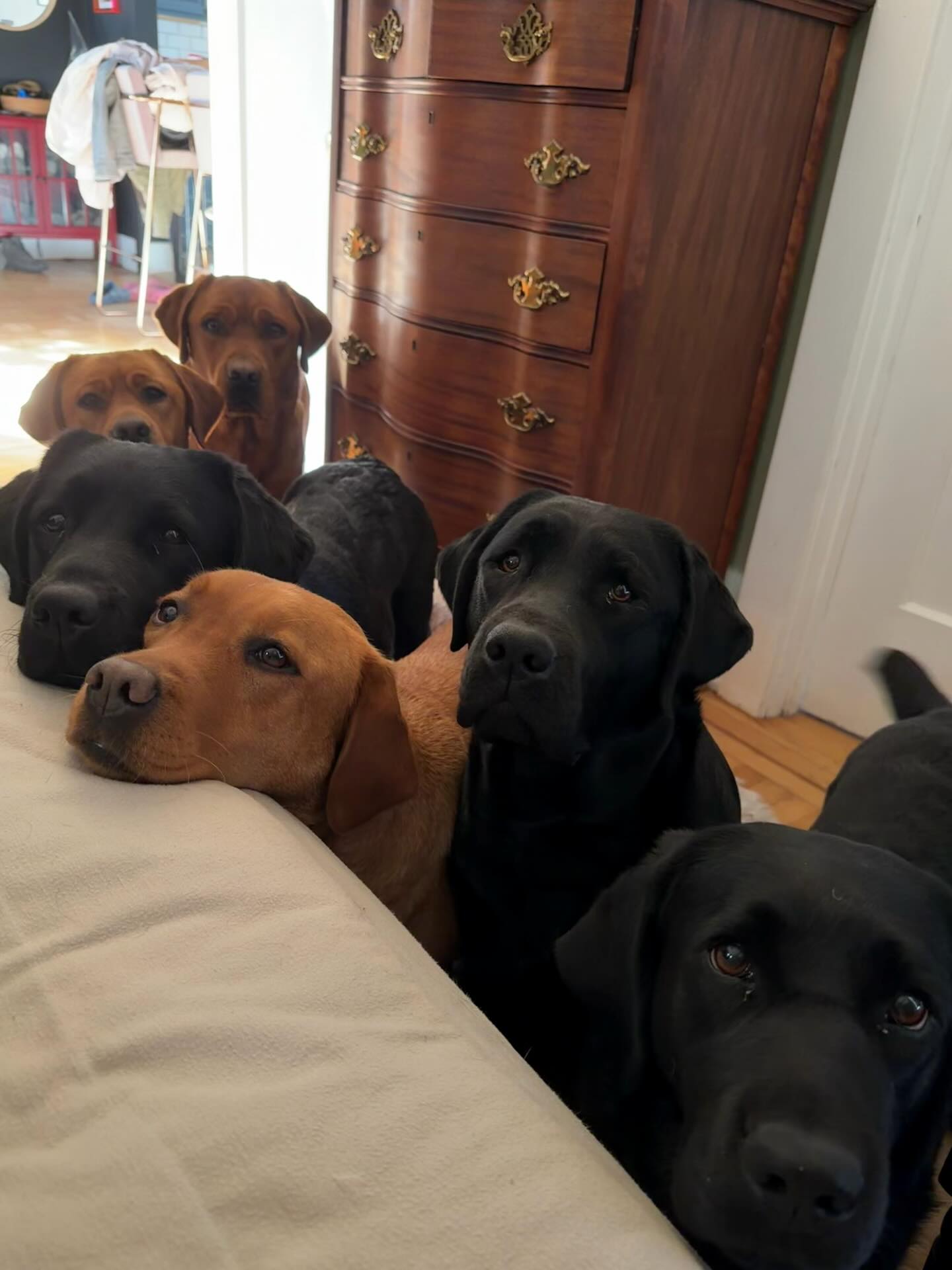 When youāre not feeling great but still have good company