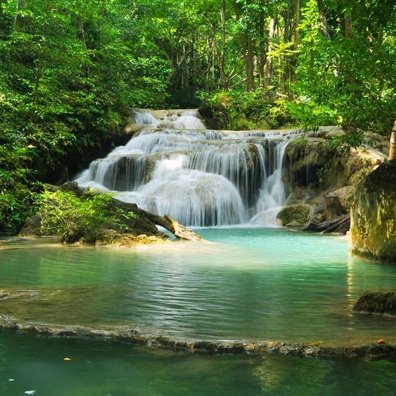 “Restoring and protecting forests, which filter water and help to control runoff, are two of the most effective strategies for ensuring clean water for downstream users. But these practices also have the added benefit of capturing and avoiding the release of carbon into the atmosphere, helping to mitigate climate change. With 64 percent of the total carbon in tropical above-ground biomass located in source watersheds, preserving these ecosystems is a vital part of a comprehensive mitigation strategy.” www.nature.org
One of the easiest ways to increase our global forests is to help plant trees by switching your web browser to @Ecosia to plant trees for free while you search the web. Ecosia.org is the ‘search engine that plants trees’ by donating 80% of their advertising revenue to effective tree planting projects around the world with a focus on biodiversity hotspots.
Subscribe to @_trees_are_awesome for more inspiring nature content and to connect with easy ways to plant trees around the world.
#trilliontreescampaign #trilliontrees #reforestation #generationrestoration #naturebeauty #naturetherapy #incrediblenature #beauty_of_nature #wow_planet #givebacktonature #nature_inspiration #naturebeauty_pix #naturemeditation #natureinspiredbeauty #naturelifeearth #naturelifeearth #mothernaturerocks #naturephotography #treeplanting #planttrees #treeconnection #waterislife #freshwater #watersheds #watersource #waterfall #waterfalls #waterfallsofinstgram #waterfallhunting #waterfalllovers