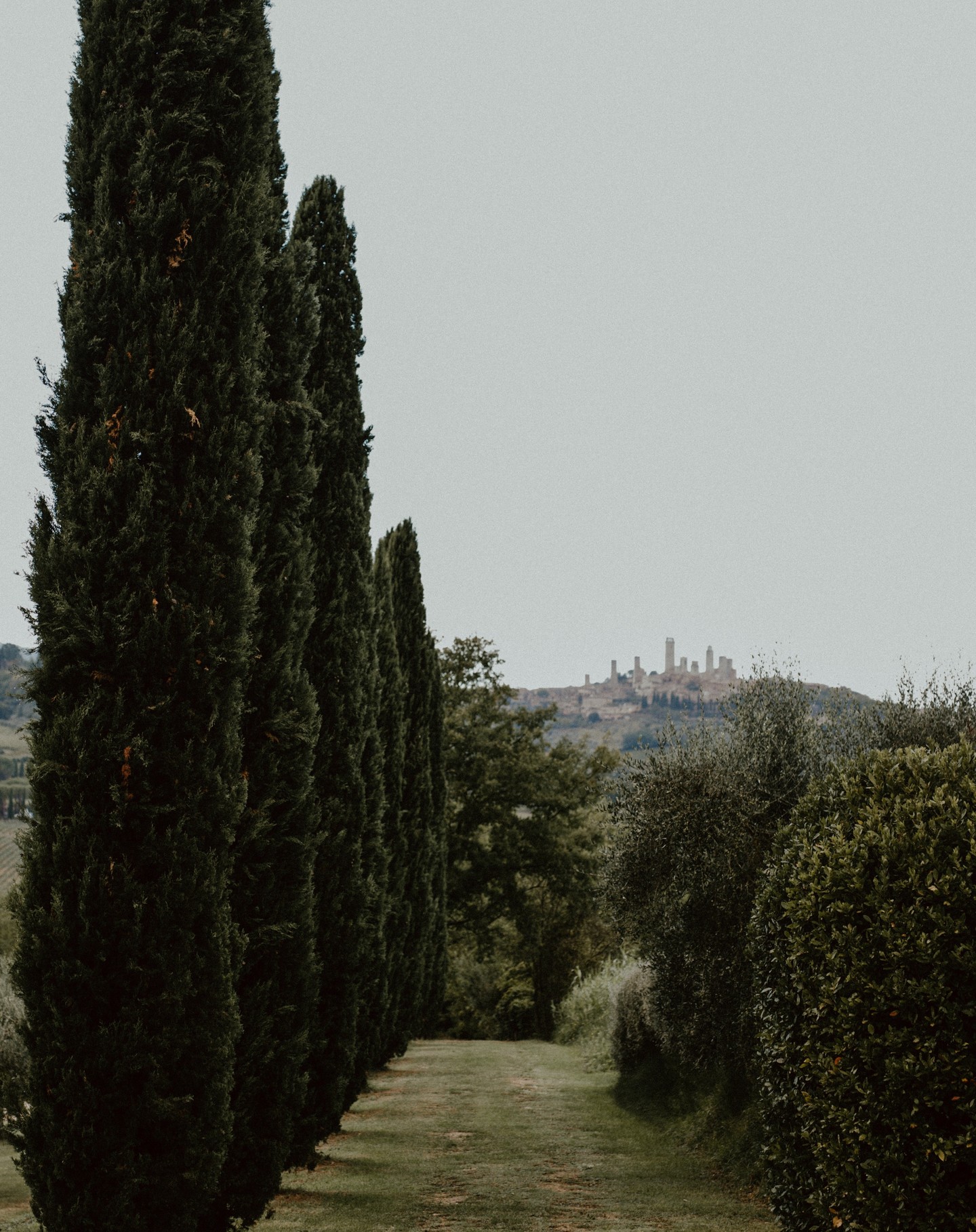 The 12th century ruins of San Gimignano high in the hills of Tuscany.
Alta Rovina, from Tuscany Scenes by @renaudcg streaming everywhere August 16.
Photo by @rhamely #duotandemplayscotegiguere #tuscanyscenes #sangiminiano #sangimignano #tuscany #ruins #altarovina #guitar #classicalguitar #guitarduo
