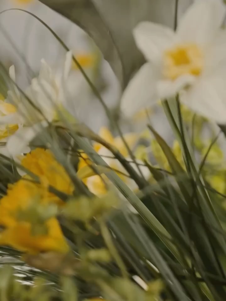 Valentine’s Day is approaching 🌺
Aphrodite — a captivating fragrance that embodies the essence of love, beauty, and desire. Inspired by the Greek goddess of passion, this alluring scent combines lush florals, seductive honey, and tender musk, evoking the warmth and intimacy of a lover’s caress.
As Aphrodite’s enchanting aroma envelops you, surrender to the pleasures of the senses and let love’s transformative power ignite your heart.
#valentinesday #aphrodite #goddessoflove