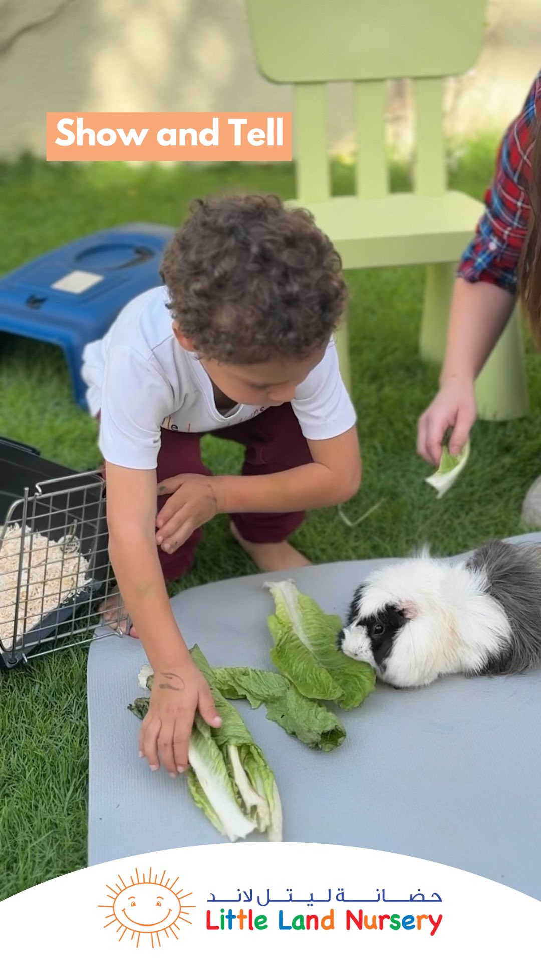 One of our children introduced us all to Coco, his beloved guinea pig. Watching him share stories about caring for Coco - from daily feeding routines to gentle handling - was a beautiful reminder of how responsibility builds confidence in our little ones.
When children share something meaningful from their world, they’re developing essential communication skills while building empathy and curiosity about the living creatures around us. The questions from classmates, the gentle touches, the wonder in their eyes - this is child-led learning at its finest.
At Little Land, we celebrate these authentic connections that help children understand their role as caring members of our community. Through experiences like these, they discover the joy of nurturing others while building the confidence to express themselves. 🤍
#MontessoriEducation #EarlyChildhoodDevelopment #ChildLedLearning #DubaiNursery #MontessoriNursery DubaiParents