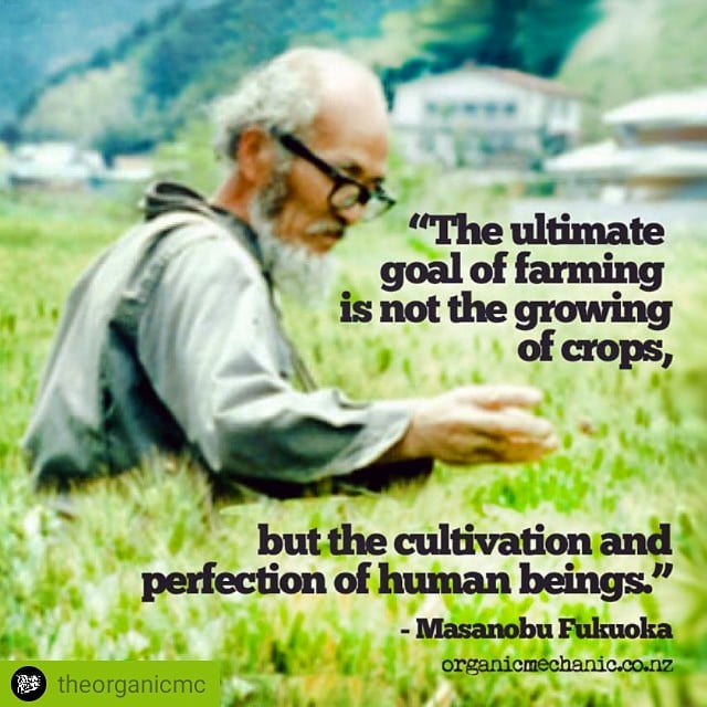 Grow food the right way and we cultivate and improve humanity! Growing food locally and sustainably is likely our best chance to achieve food security, food justice, environmental justice, as well as social and racial equity. Communities producing healthy, sustainable, affordable, and culturally appropriate foods will be transformed, new educational and economic opportunities will emerge, and deep social bonds from growing and sharing food will arise! #onestrawrevolution #fukuoka #foodjustice #regenerative #soilhealth #permaculture #foodsecurity #foodsovereignty #localfood #masanobufukuoka #kisstheground #socialjustice #scarcityisdesigned