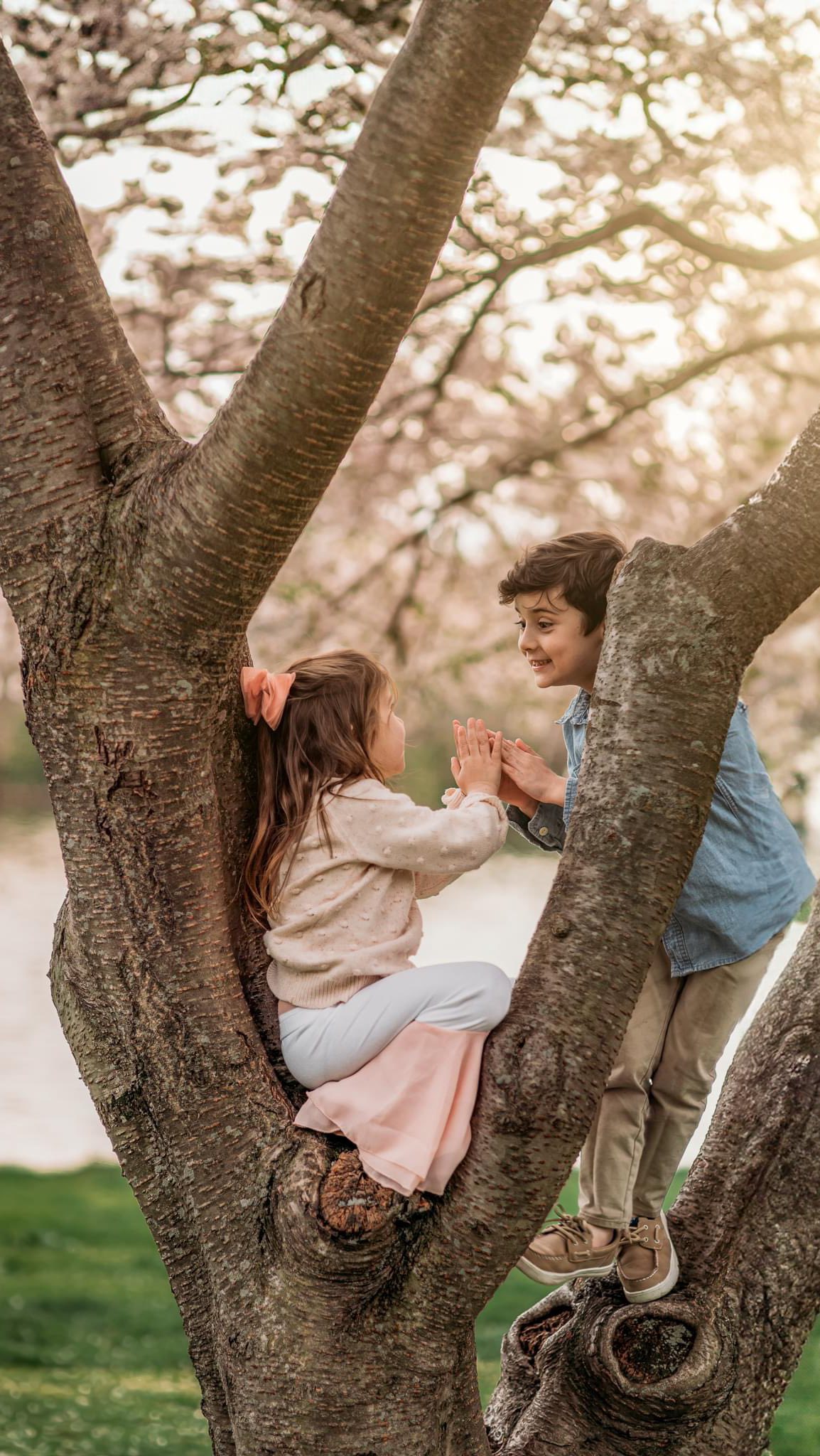 Cherry blossom minis are live! I am doing 3 different locations this year! Check out the details in the link! (In bio!) or PM and I’ll send it to you directly.
https://abestfriendsproductionbytami.shootproof.com/booking/cherry-blossom-petite-sessions