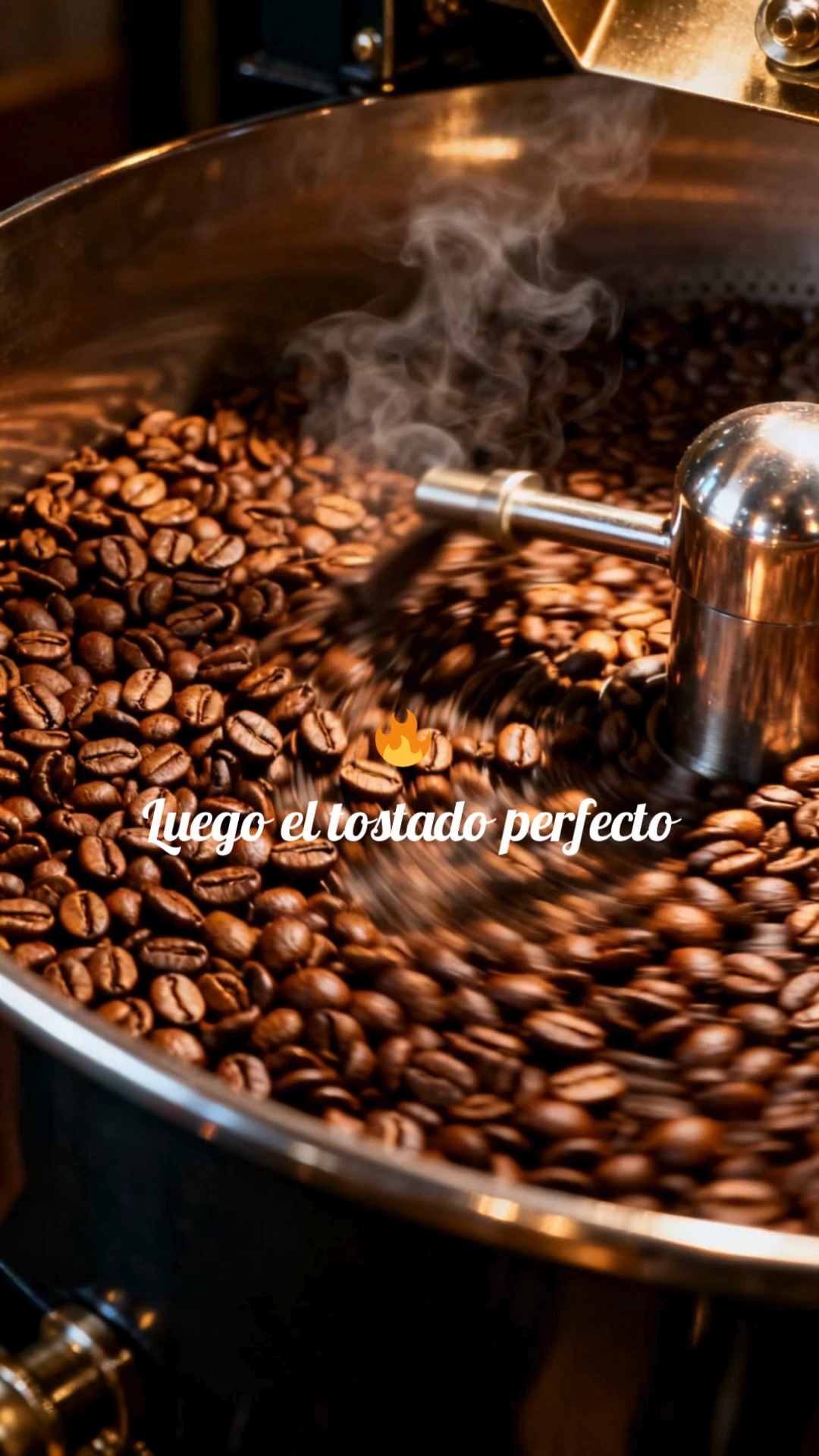 El viaje de tu café comienza mucho antes de tu primera taza. ☕
Desde nuestra finca hasta tu mesa.
Finca Tres Marías