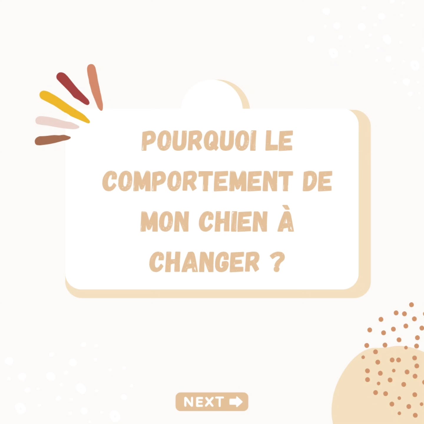 Il y a tellement de raisons qui peuvent expliquer un changement de comportement chez notre compagnon qu'il me semblait important de vous en noter quelques unes ici !!
Bien-sûr cette liste est incomplète et il y a encore tout un tas d'autres questions à se poser mais qui parmi vous aurait pris le temps de lire 20 slides ? 😅
D'ailleurs un grand merci à tous ceux qui prennent le temps de laisser un petit ❤️ ou un commentaire !!! Ça prend 2 secondes et pourtant beaucoup ne le font pas 🥲
De mon côté, ça me permet de garder la motivation de vous partager tout plein d'informations sur vos 🐶 ici gratuitement (et croyez moi ce n'est pas simple de trouver le temps de le faire 😭)