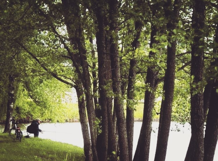 “To photograph people is to violate them, by seeing them as they never see themselves, by having the knowledge of them that they can never have.” #susansontag #onphotography #strangersphotography #allrightsreserved #lovethisphoto #oldiesbutgoodies