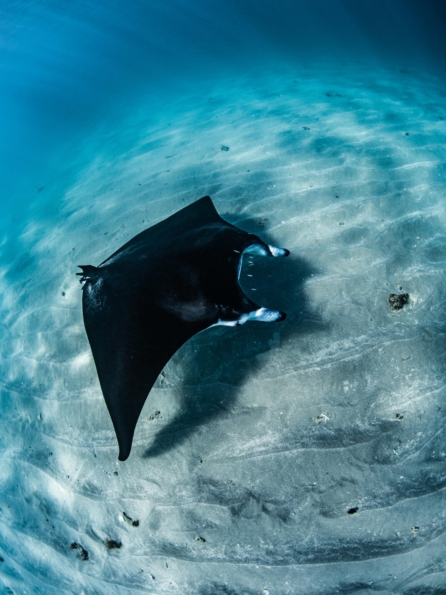Checking in on our Exmouth community after last night 🩵
Hoping everyone in Coral Bay is safe and dry too.
We’ll be ready to return to the ocean once conditions calm again 🌊