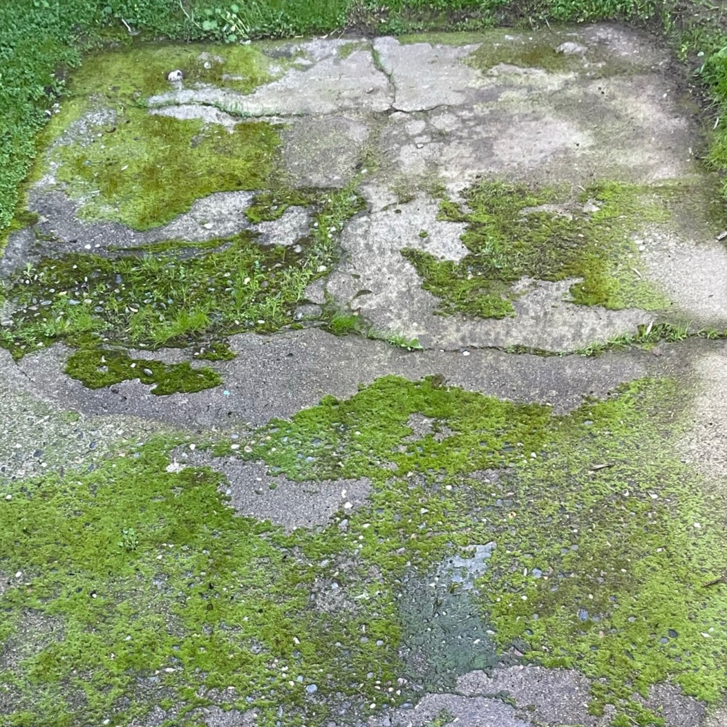 Years of neglect vs. one afternoon of hard work. 🌿🧼
This backyard concrete hadn't seen the sun in a long time. It was covered in thick, slippery moss that had taken over completely.
I came in, cleared the overgrowth, and brought the surface back to life. Simple process. Clean results. 👏