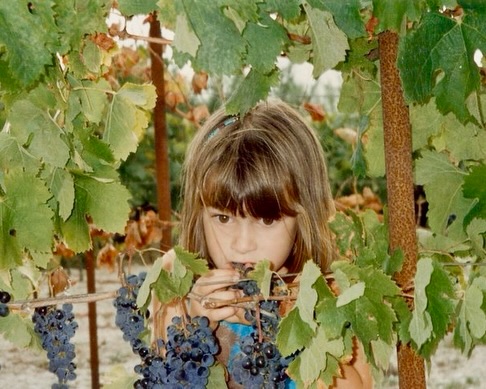 Nourrir son corps, c’est nourrir son âme.
Dans la philosophie de l’Ayurveda, l’alimentation est une médecine.
Chaque aliment porte un prana, une force vitale.
Ce que nous mangeons influence notre feu digestif (agni), notre clarté mentale, notre ancrage, notre digestion, notre vitalité…
La nourriture n’est pas seulement physique : elle est vibration, information, énergie.
Quand je cuisine végétarien, coloré et vivant, je ne cherche pas la perfection. Je cherche l’équilibre. Cuisiner devient alors un véritable rituel.
Une offrande au temple qu’est mon corps.
Choisir le végétal, les épices, les aliments vivants… C’est choisir la douceur plutôt que la lourdeur.
La conscience plutôt que l’automatisme.
Manger en conscience, c’est :
🌱 respecter son feu digestif
🌱privilégier le végétal
🌱choisir des aliments simples et naturels, de saison
🌱 ralentir
🌱remercier (la nature pour ses bons légumes, la personne qui cuisine pour son temps)
Je choisis de me nourrir avec amour et encore plus en cette période où je porte la vie. 🤰🏻🧆🍛