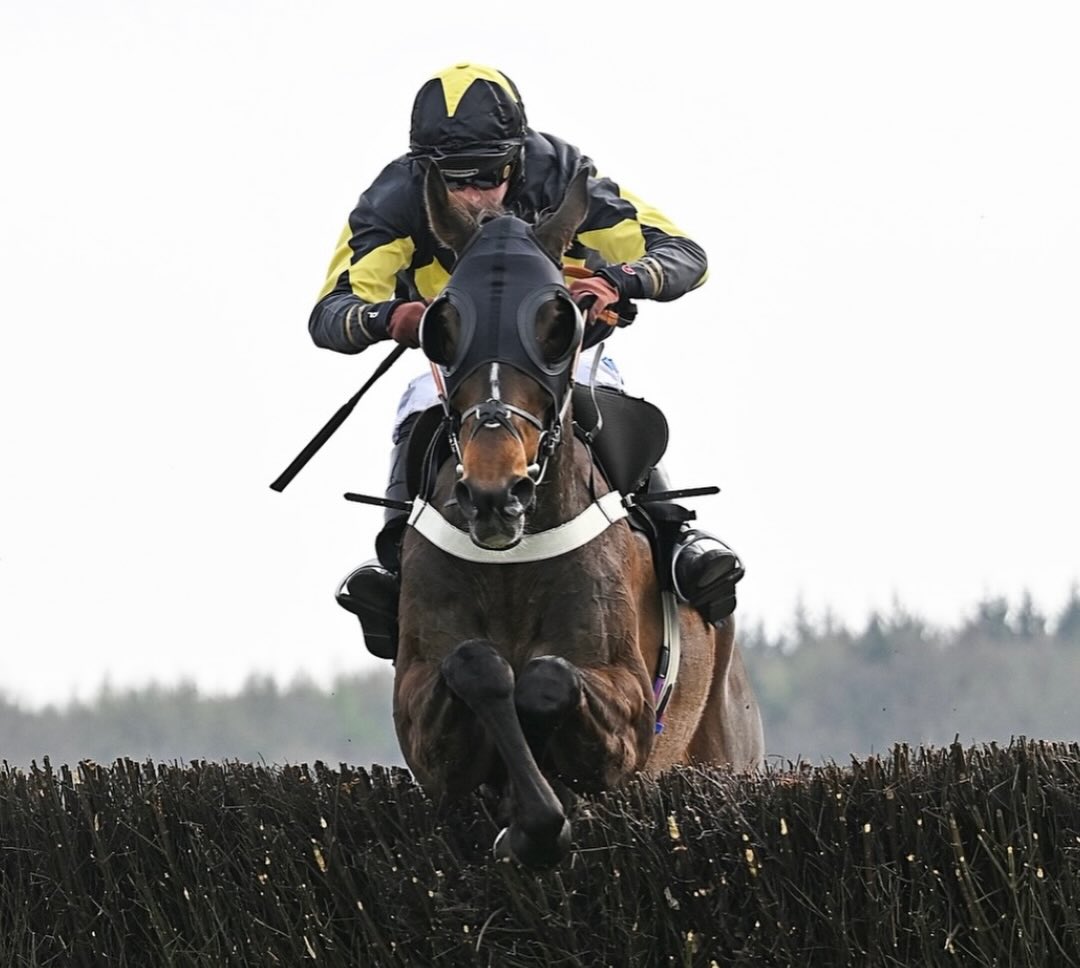 Rivers corner battles it out to win @exeterraces ridden by @brendanp1995 👏🏻
Well done to John Romans and Nick Case 🤩