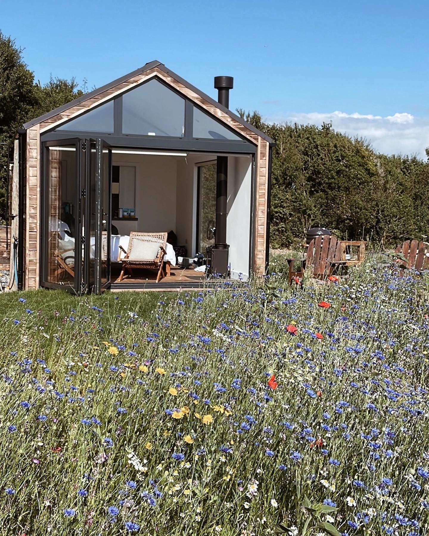Wildflowers 🌿
The wildflower meadows around our three cabins are blooming and alive with hundreds of busy bees
#devon #devonglamping #luxuryglamping #wildlife #staycationuk #staycation #glamping #devonholiday #wildflowers