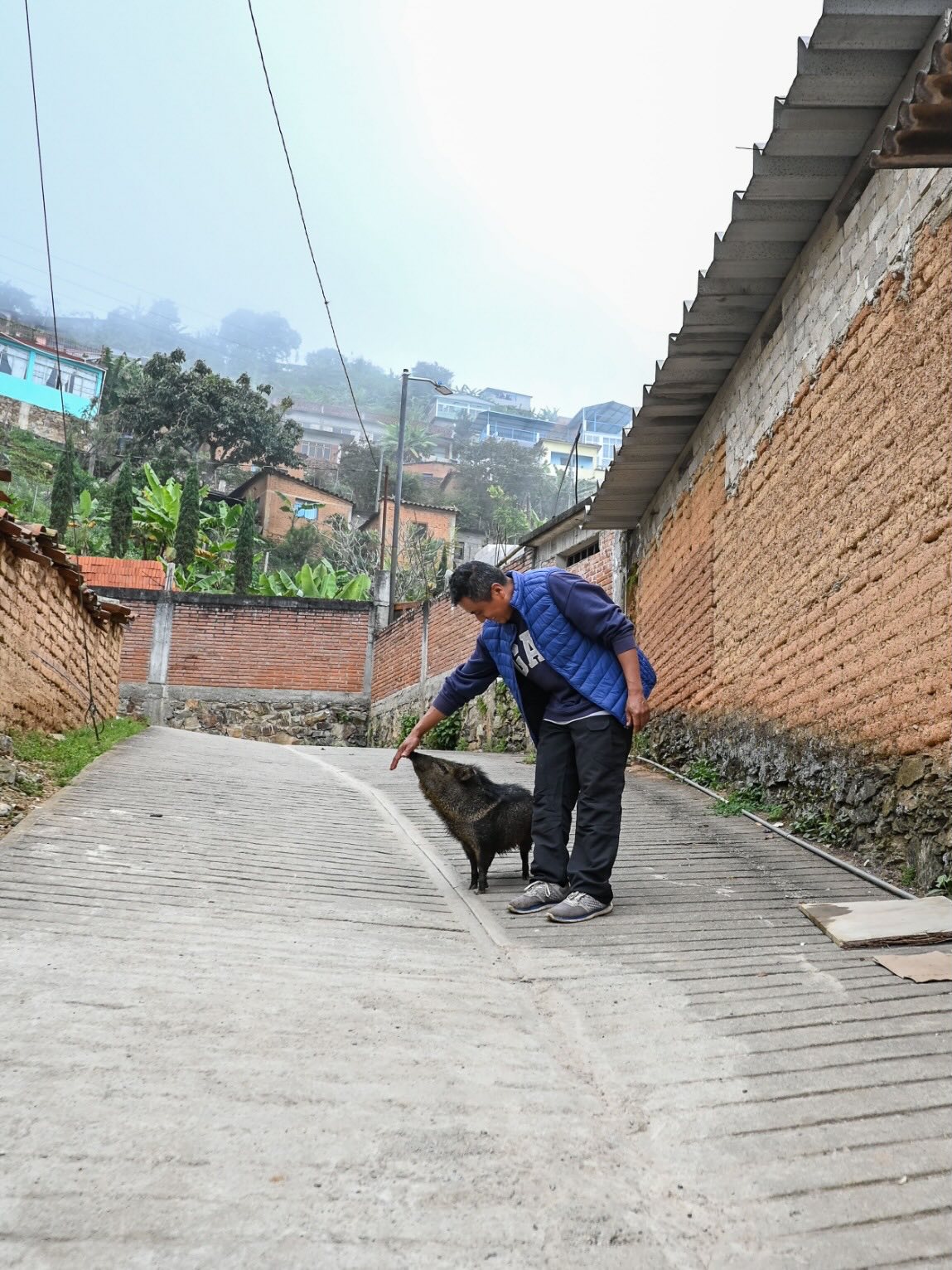 Pumba the wild boar joined us for our coffee tasting with Yeldua in San Cristobal Lachiroag
#javalina #jabali #wildboar #ramblingspirits #coffee