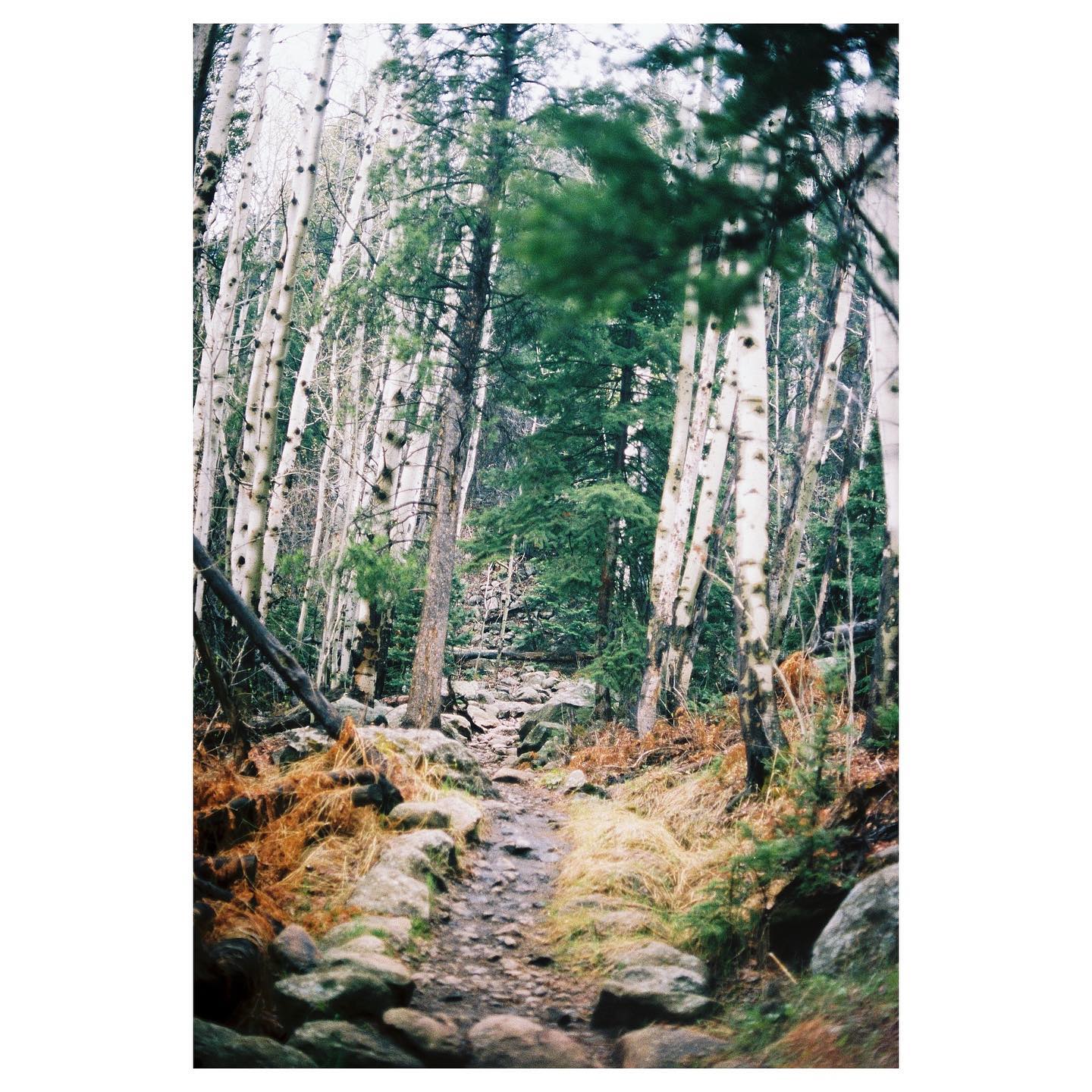 @ cub lake
📷: canon ae-1 / kodak portra 400
#ae1 #35mm #canon #canonae1 #portra400 #kodak #kodakportra400