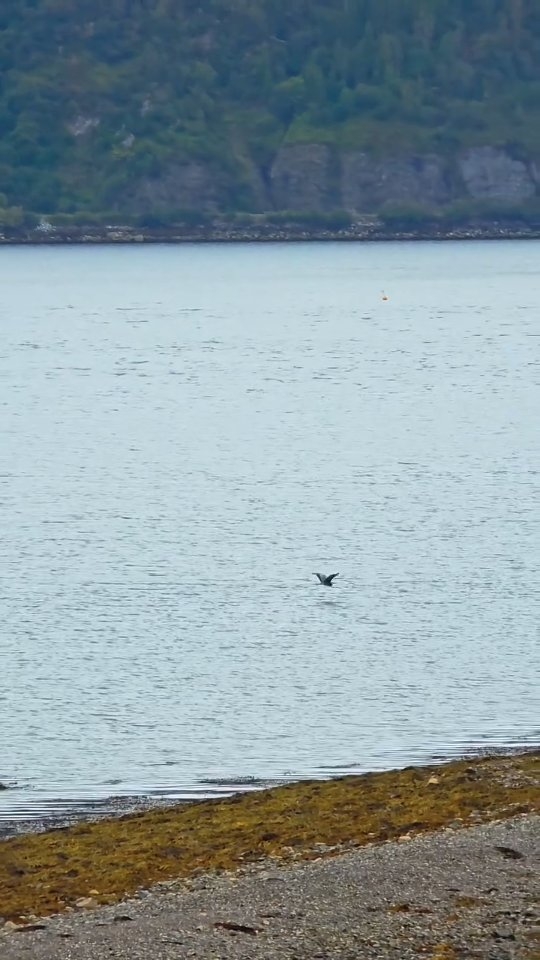 Pra mim o ócio é relaxante.
Gosto de ficar olhando pra onde estou, pras pessoas que moram aqui, pros amantes de mão dadas voltando do mercado.
Gosto de ir buscar meu café em um lugar local e descobrir qual o melhor almoço do único pub da única rua do lugar que escolhi ficar.
Gosto muito de viajar sozinha, mas também gosto de viajar acompanhada, entender a diversidade das pessoas, os interesses e as ansiedades me ajuda a ser uma profissional melhor.
Nem tudo é pra todo mundo, mas sei muito bem o que é melhor pra mim. E amo estar em algum fim de Mundo. 🌎❤️
"Haverá um dia em que vc não haverá de ser feliz.
Sem tirar o ar, sem se mexer, sem desejar como antes sempre quis.
Você vai rir, sem perceber, felicidade é só questão de ser.
Quando chover, deixar molhar pra receber o sol quando voltar.
Lembrará os dias que você deixou passar sem ver a luz.
Se chorar, chorar é vão porque os dias vão pra nunca mais."
🎵 Felicidade.