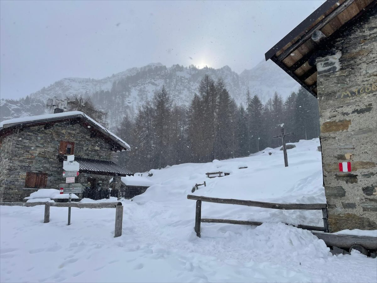 17.02.26 ❄️
Magico ✨