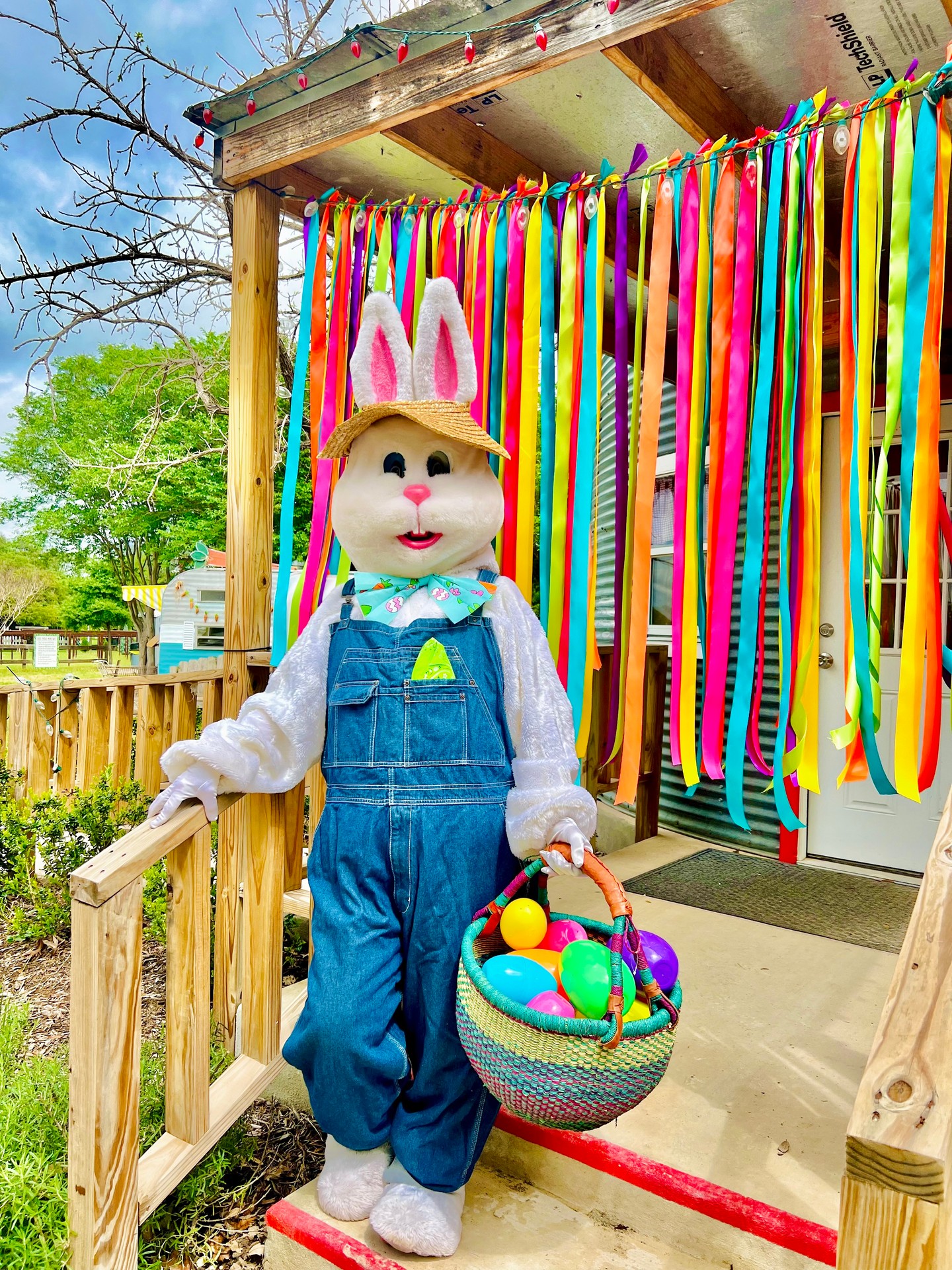In just a few weeks, the farm is going to be bursting with vibrant spring colors, Easter-time activities, blooms and endless fun! 💐🐰
Mark your calendars..
🌼 Spring CountryFest: March 28, 29, April 3, 4
🎟️ Tickets go on sale March 23 at 8am
Sign up for sale alerts: devineacresfarm.com/newsletter
