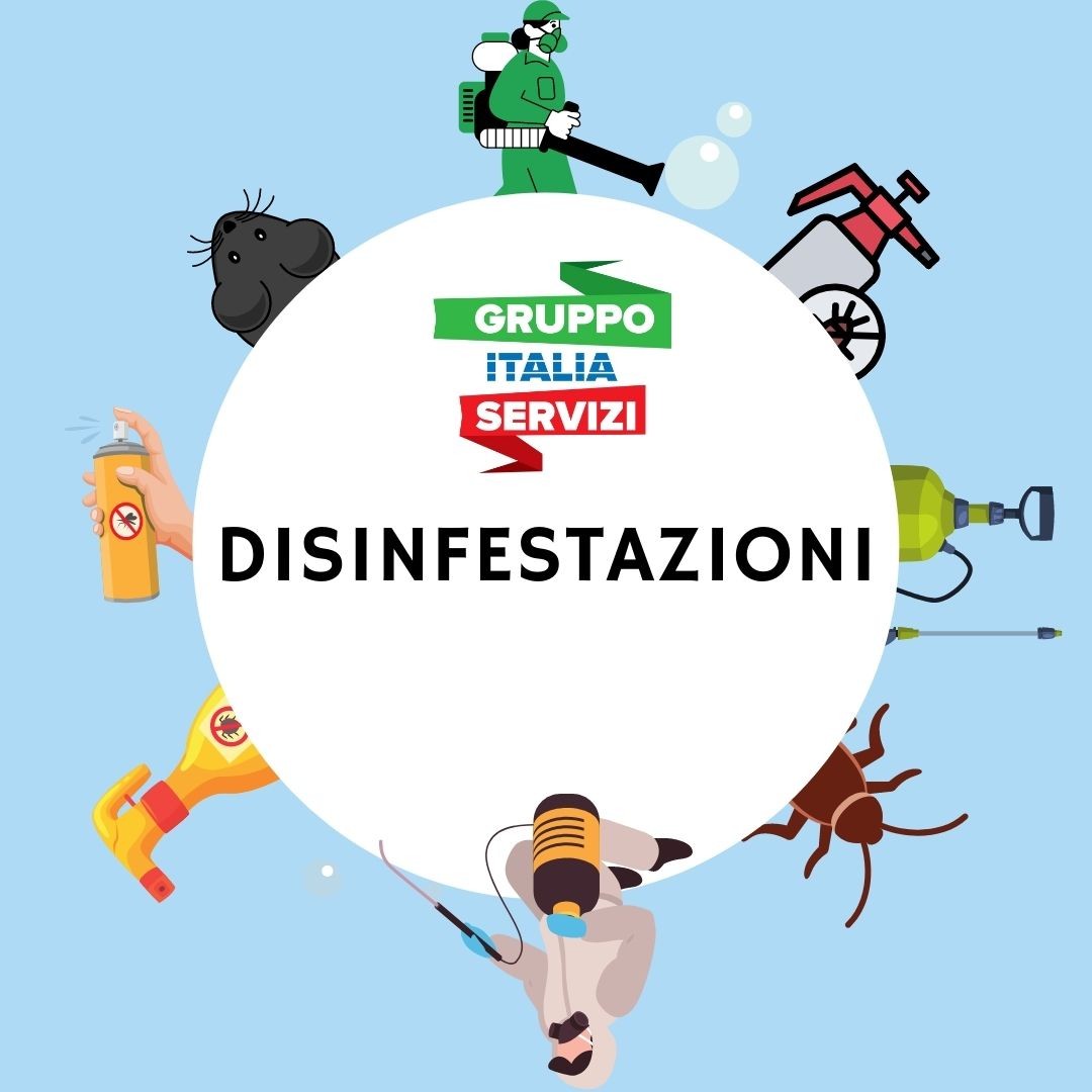 Svogliamo servizi di disinfestazione nello specifico:
Disinfestazione da zanzare
Deblattizzazione
Derattizzazione
#disinfestazione #sanificazione #disinfezione #igienizzazione #zanzare #pulizie #insetti #derattizzazione #blatte #cleaning #igiene #disinfestazioni #derattizzazioni #ratti #cimici #impresadipulizie #pulizia #covid #topi #scarafaggi #zanzaratigre #giardinaggio #pulizieprofessionali #sanificazioni #pestcontrol #mosche #pulito #roditori #puliziecondominiali
