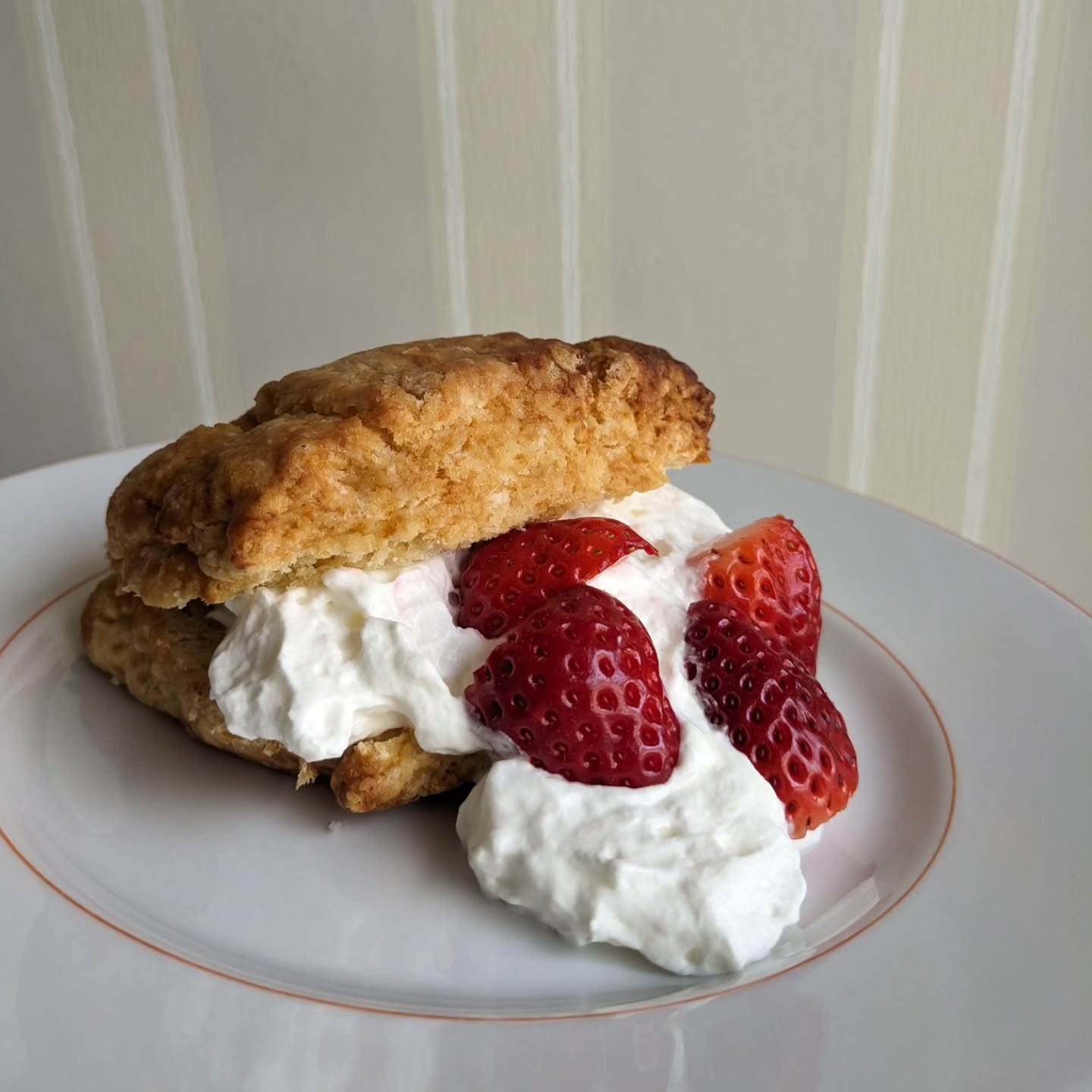 Salted Honey butter biscorne
アメリカでストロベリーショートケーキを頼むと
これが出てきます
笑
想像と違ったから驚いたけど
ハマるょね
#nothingfancystyle #americansweets #北比良#滋賀県