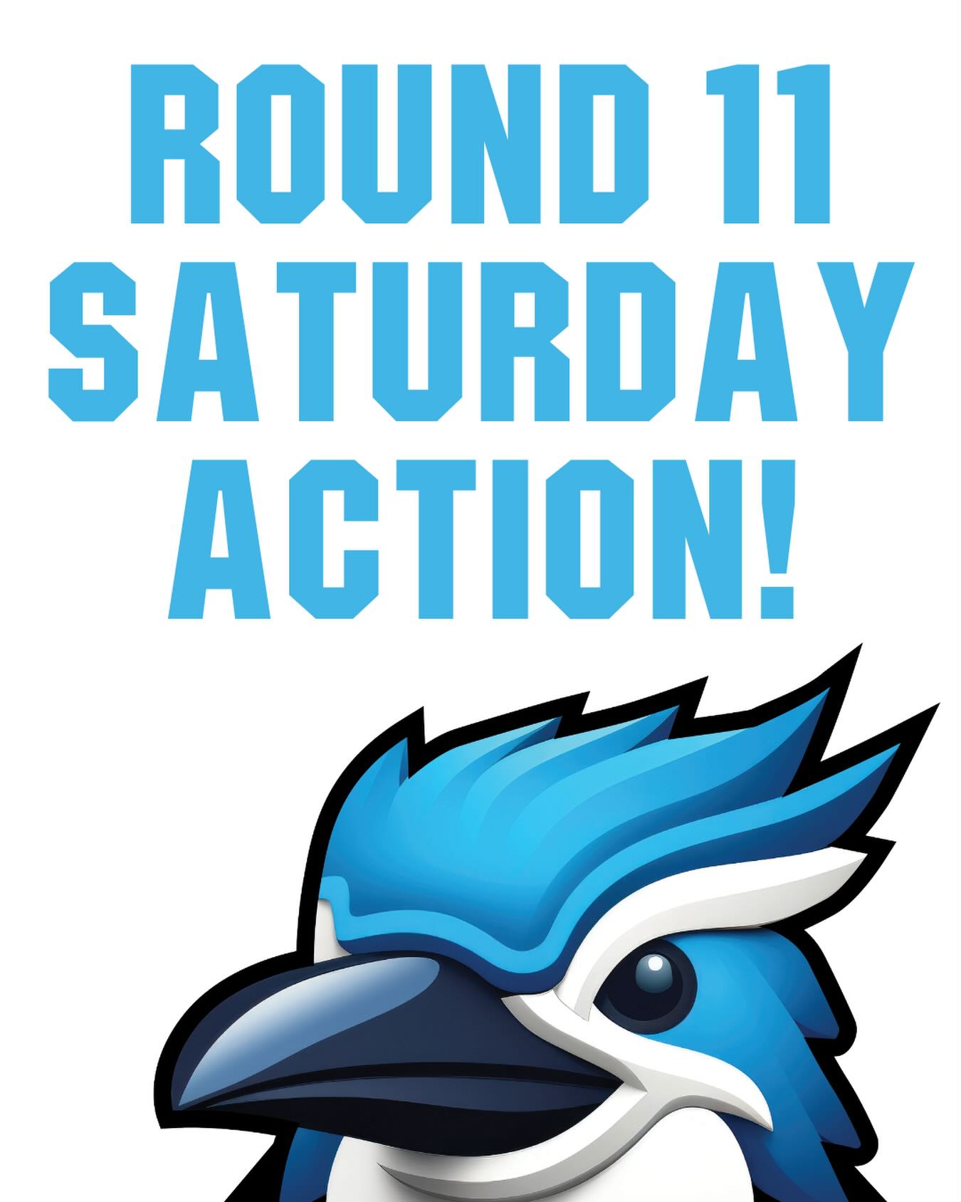 πβΌοΈ KOOKABURRA SATURDAY! ROUND 11 IS IN THE BOOKS! πβΌοΈ
U11 Blue
Batted first at Hartfield 3 and just went down in a great contest. Scoring 124 the team had great batting from Sarthak (33), Henry (16) & Abigail (14) in a strong effort. Luca (2/21) bowled beautifully in response while Henry picked up 3 runouts in the field as the team put in a great performance.
U11 White
Had the big road trip to play Coolbinia and bowled first. After an early onslaught, the team got back into the game with wickets to Ethan (2/8), Nate (2/13), Josh (1/9) & Caleb (1/14) keeping them to 156. With the bat the team was led by Cooper (12), Josh (11) & Joel (10) as they fell short with a score of 112.
U13 Blue
Batted first at home against Coolbinia. A great partnership between Isa, with an amazing 70no, and Jacob, with a compact 32no, the team got to 7/162. Unfortunately, Coolbinia made 5/176 as the team just went down. Great bowling from Agrim (2/18), Maahir (1/11), Jacob (1/20) & Biren (1/22) in a quality effort against the #2 team.
U13 White
Bowled first - and with the exception of one batter, the team did fantastic. Strong bowling from Cooper (4/7), Duke (1/24) & Raghnall (1/27) helped the cause. Fell short with the bat but great contributions from Duke (32), Henry (21) & Blake (17). Onward to the derby next week!
U14 Blue
Started very well at home against a powerful Willetton team. Great batting from Hudson (37no) & Patrick (29) got the team into a great spot, however a heap of quick wickets saw the team bowled out for 104. Really great effort with the ball saw the team keep a strong batting lineup to 142. Wickets to Reece (3/16), Cieran (2/23), Brayden (2/30), Quade (1/11) & Ash (1/11) in a quality effort.
U14 White
Batting first the team posted a competitive 129 led by Dan (24), Leo (19) & James (18no) against a very strong Willetton Gold. A very even bowling and fielding effort saw a tight game. Wickets to Morgan (1/4), Lucas (1/4), Owen (1/21) & Blaine (1/25) as they played some good cricket against a loaded team.