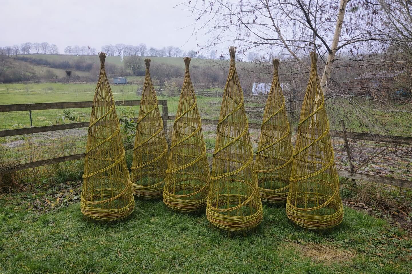 🌱Join Tora for a workshop in weaving obelisk/ plant supports this March 14th! 10-4pm
As well as supporting our forest school with her weaving magic she’s back with a workshop for your practical planting needs. Come weave a 5-6 foot long, sturdy willow support from locally grown willow.
These are wonderful statement pieces in any garden, used for climbing plants such as sweet peas.
🌿Tora Smith, an experienced willow weaver will guide you through the day using traditional weaving techniques.
At Weir Holm, Skenfrith
🧡For more details & to book email BlackMountainWillows@gmail.com