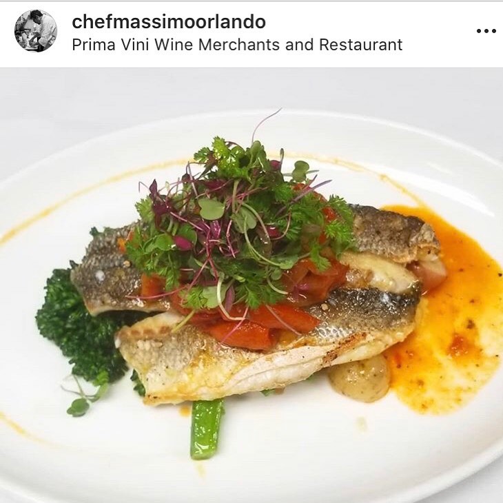 Enjoy excellent dishes created by @chefmassimoorlando this holiday season featuring our fresh cut specialty produce @primavini Walnut Creek !
-
-
-
-
#placergrown #urbanfarming #hydroponics #verticalfarming #knowyourfarmer #cagrown #freshfood #healthyfood #urbanfarmer #mixedgreens #leafygreens #microgreens #indoorfarming #aeroponics #growsomemicros #growsomeleafys #localfarmers #nutrientdense#walnutcreekdining