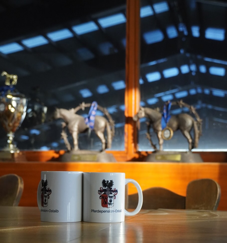 Willkommen auf dem offiziellen Account der Pferdepension-Ostalb!!🐴
Schaut doch mal gerne auf unserer Website vorbei 😉 (Link in der Bio)
#pferdepensionostalb #pferd #hof #schwäbischealb #pferdepension