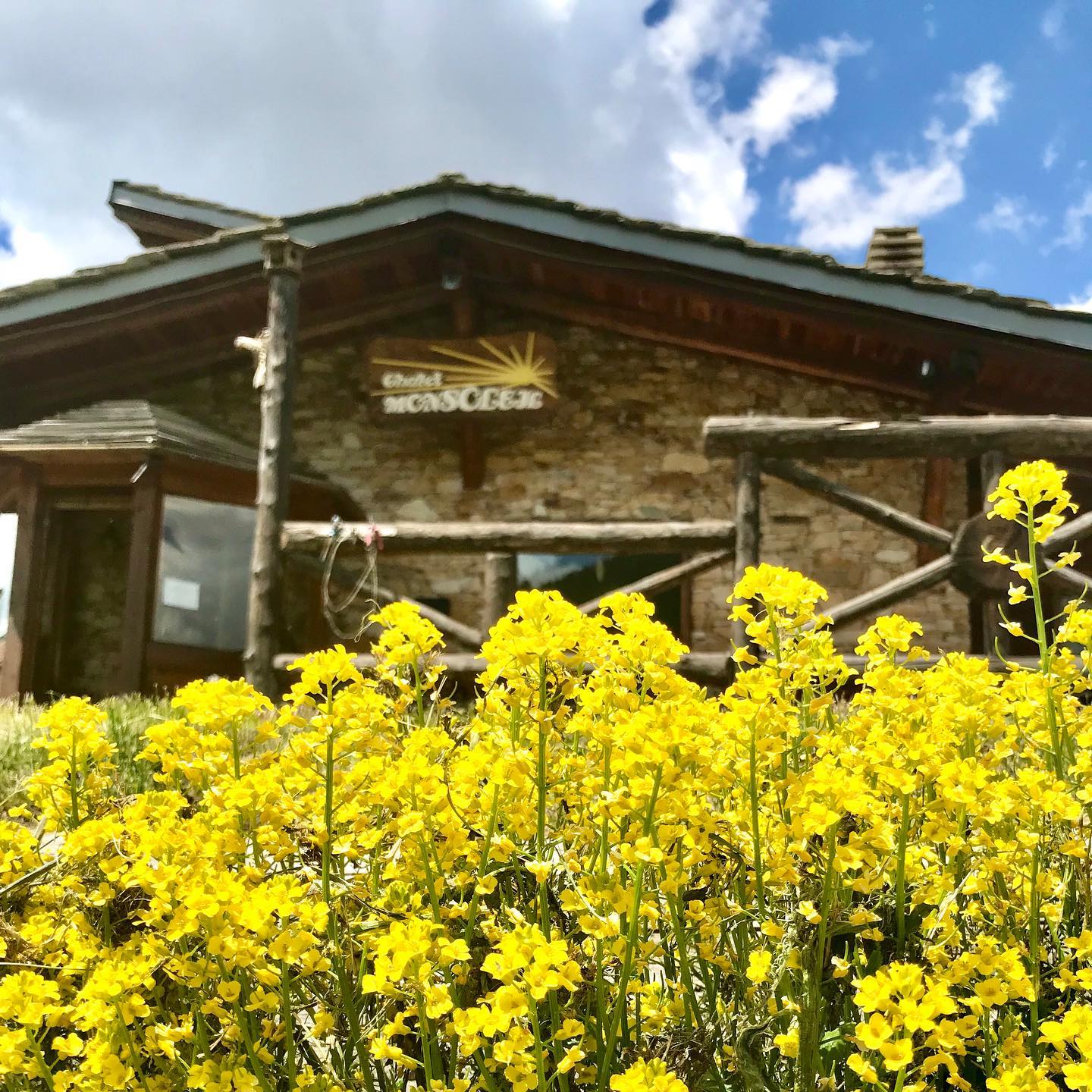 🌼Siamo aperti tutti i giorni🌼
Da Lunedì 28 Giungo resteremo aperti anche in settimana
#chaletmonsoleil #claviere #turismovialattea #visitclaviere #alps #italy #mountainlovers #mountain #summer #estate #simplepleasures #italianfood