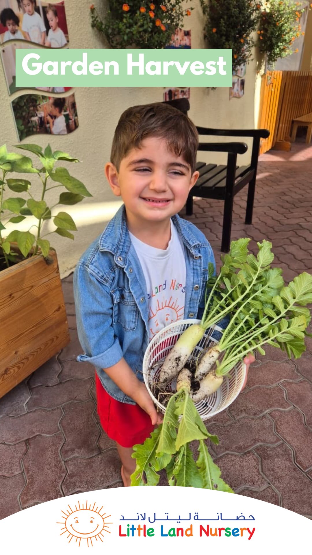 Harvesting white radish is more than a gardening activity. It connects children to where food comes from and builds real understanding through hands on experience.
As children pull, clean, and observe the radish, they strengthen fine and gross motor skills, develop sensory awareness, and practice patience and care. Gardening also supports language development as children describe textures, sizes, and changes they notice.
These real life experiences help children build respect for nature, confidence in their abilities, and a deeper connection to their environment. Learning that stays with them far beyond the classroom.