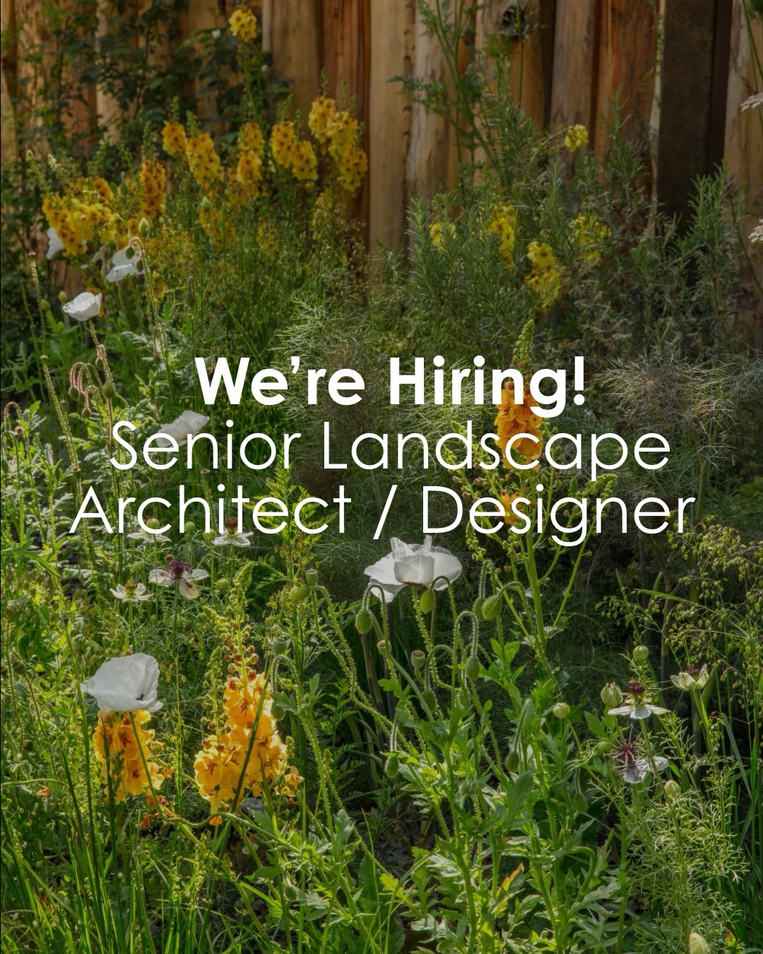 We’re looking for a talented Senior Landscape/Architect Designer with a minimum of 5 years experience to join our team!
At Joe Perkins Design, we create sustainable, design-led gardens and landscapes across the UK and internationally. This is an exciting opportunity to work on high-end residential and public projects, from concept through to completion, in a supportive, progressive and creative studio.
If this sounds like you, swipe through to learn more and email natalia@joeperkinsdesign.com with your CV + portfolio.
Full job description available on request
⸻
ABOUT: Joe Perkins Design is a multi-award-winning landscape design consultancy, creating innovative outdoor spaces that celebrate the environment, wildlife, and biodiversity. Working across the UK and internationally, we partner with clients who share our passion for sustainable and visionary design. Discover more about our work at: www.joeperkinsdesign.com