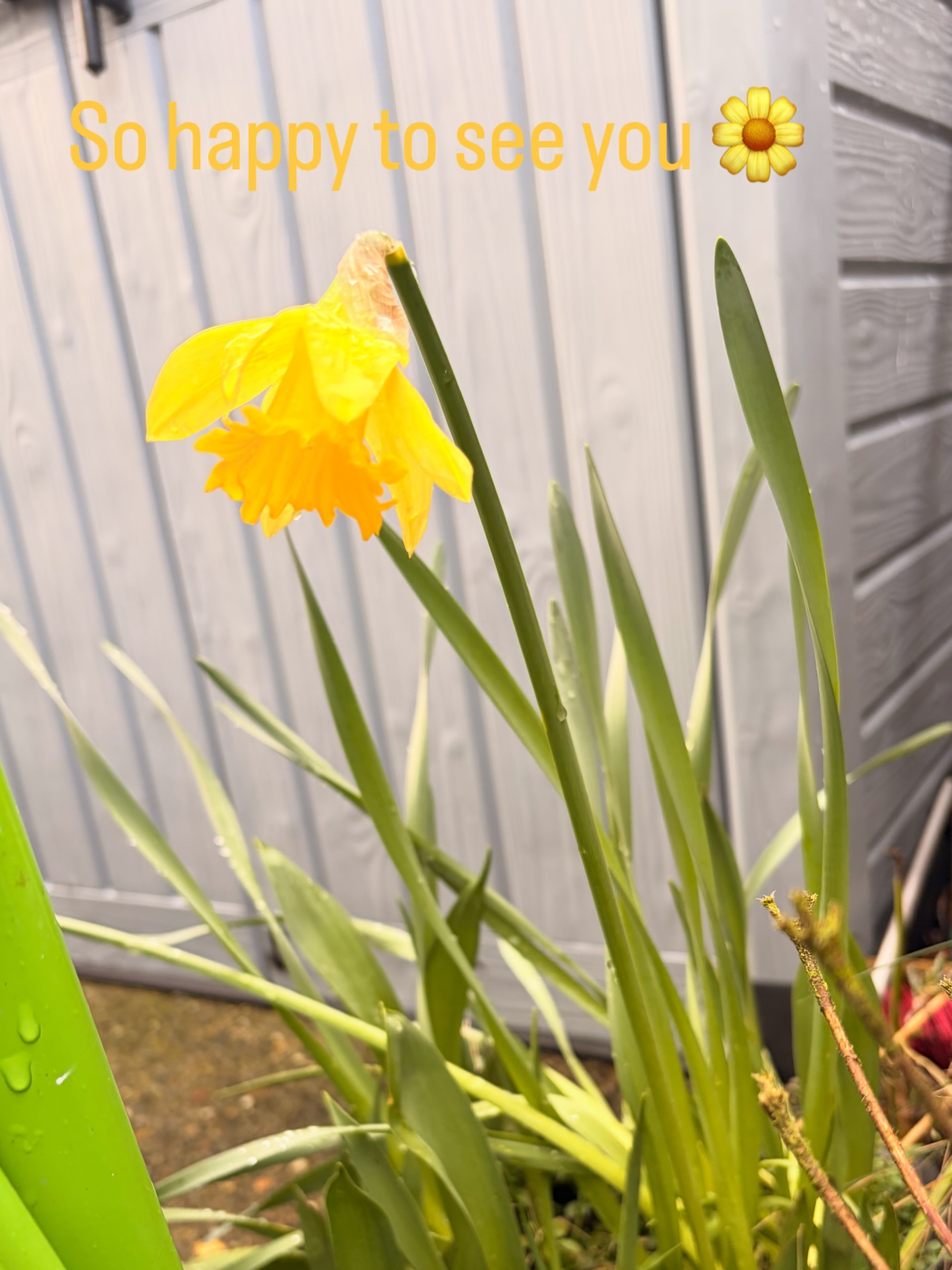 🌼🌱 Spring is around the corner 🌱🌼
#hope #newlifechapter #healingenergy #bennubloomhealing