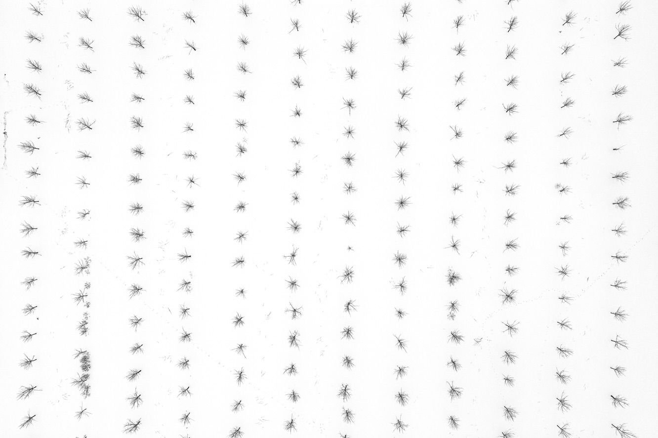 Seen from above, apple orchards transform into abstract landscapes.
Winter and snow strip the scene down to its core elements: structure, repetition, and silence.
Planned rows reveal human intention, while small variations in each tree remind us that nature never fully conforms. In black and white, the orchard becomes less about harvest and abundance, and more about dormancy, rhythm, and anticipation.
These aerial images explore how changing perspective allows us to read landscapes differently. What appears ordinary at eye level turns into pattern, system, and quiet poetry when viewed from above. #skypixel #incredibe_minimal