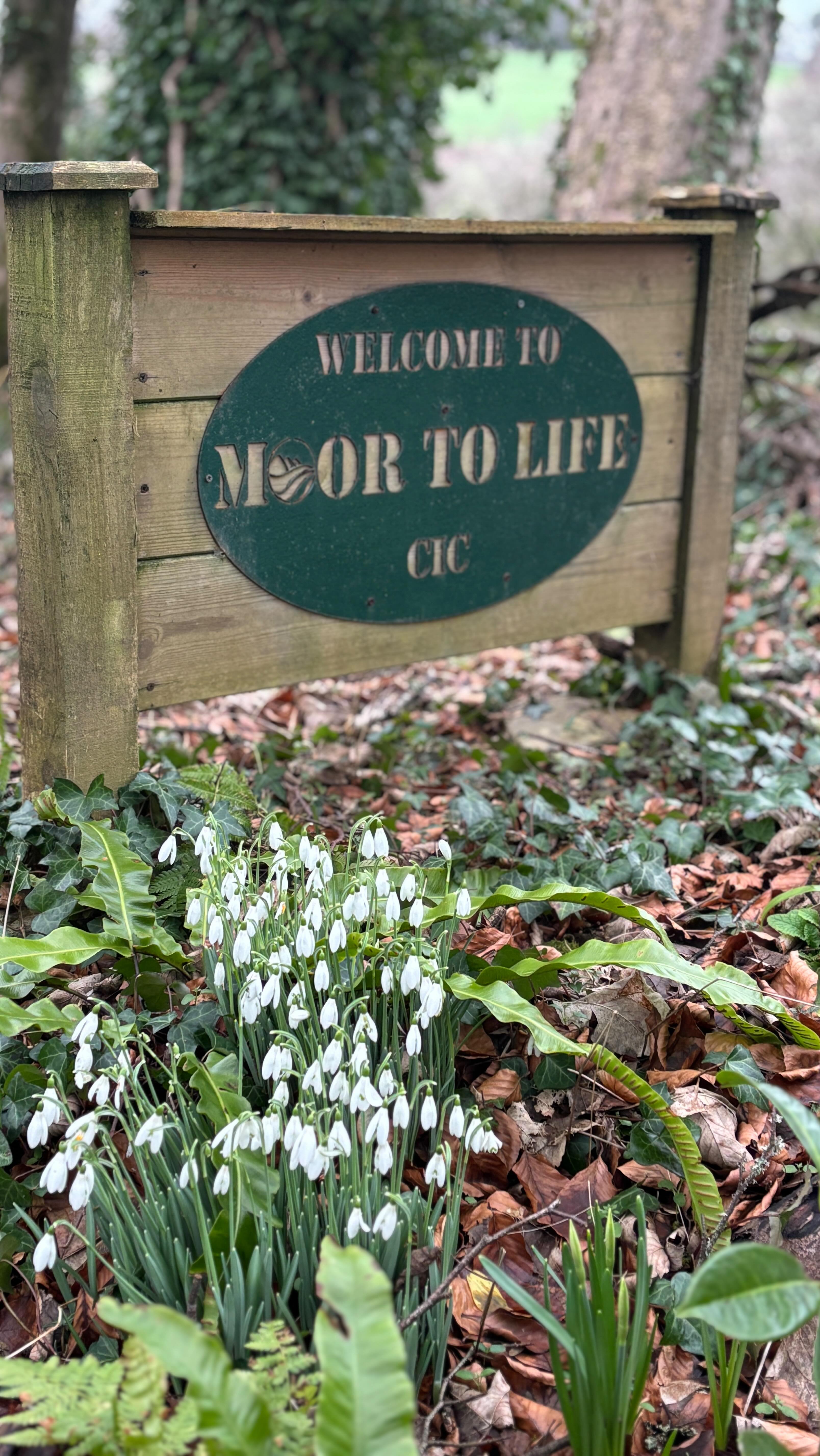 We are super proud of this partnership with @vospers who are supporting our education and wellbeing programs with brand new @mgmotoruk Hybrids.
This partnership will enable more young people from Plymouth and surrounding communities to access our education and connect with nature.
A huge thanks to Pete, Nick, Simon and the rest of the Vospers team for supporting and believing in Moor To Life.
🗣️A word from Davy, one of the founding Director’s “This is a really exciting and inspiring partnership that we are very grateful for. Pete, Simon and Nick have been super supportive of Moor To Life and to have a number of vehicles servicing and connecting communities with our programs is very special”
#vospers #moortolife #mguk #moortoexplore communitysupport communityinterestcompany