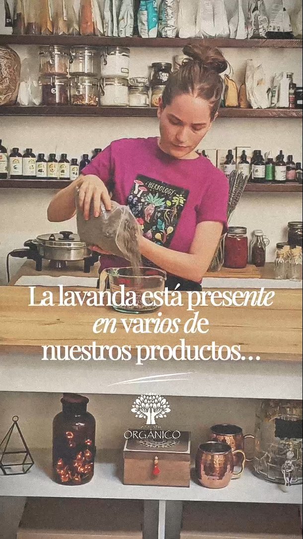 La lavanda no es solo una flor hermosa ni solo un aroma relajante 🌿🪻
Es un botánico tradicionalmente valorado por sus propiedades calmantes, equilibrantes y suavizantes para la piel.
Por eso en Espíritu Orgánico la transformamos en diferentes formas: hidrolato, aceite esencial, polvo y extracto… según lo que cada fórmula necesite.
Elegimos cada ingrediente por su función, no por estética ✨
¿Sabías que la lavanda puede ayudar a calmar pieles sensibles o con tendencia a irritación? 💚
#lavanda #organico #natural #cosmeticanatural #cuidadofacial