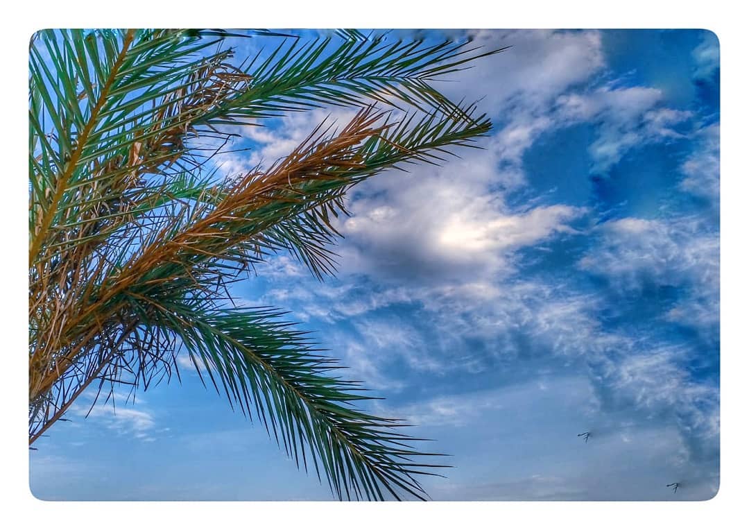 So many tales to tell......... #clouds #cloud #GetInstaFamous #TagsForLikes #weather #lookup #sky #skies #cloudy #instacloud #instaclouds #instagood #nature #beautiful #gloomy #skyline #horizon #overcast #instasky #epicsky #crazyclouds #photooftheday #cloud_skye #skyback #insta_sky_lovers #iskyhub