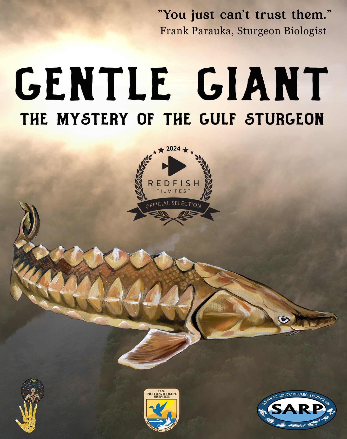 We are excited to announce our film ‘Gentle Giant’ will screen at the @redfishfilmfest in April 2024.
Created for the @usfws Southeast Region Panama City Field Office, this little-known story features the fascinating journey of the Gulf Sturgeon from the historic fishery to today.
Generations of devoted fish biologists from the Pearl River in Louisiana to the Suwannee River in Florida are slowly unraveling the ancient code of this prehistoric fish.
Our story explores the natural and cultural history of the Gulf Sturgeon, from their migration to their surprising hangouts, why they jump, and why they are imperiled.
Thanks to 1/2 century of research into the little guys and the big whoppers, we present a dazzling portrait of the curious Gulf Sturgeon.
Stay tuned for more opportunities to watch ‘Gentle Giant: The Mystery of the Gulf Sturgeon’. @otthouseaudio @sayostudioscience
