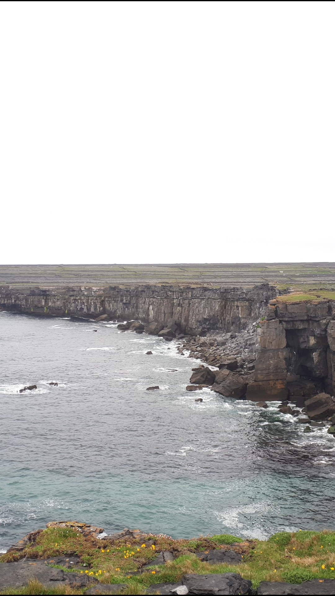 🌊☀️ A Day on the Aran Islands with Little Gem Tours!
A day full of history, stunning landscapes… and a touch of Irish weather 😅 (sun not guaranteed!).
What would you explore first on the Aran Islands?