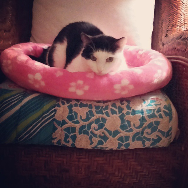 Ruby feeling cozy π