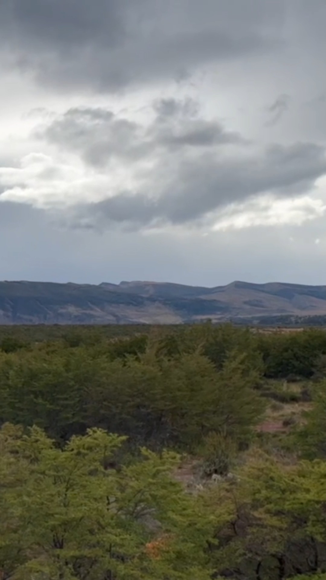 Invitamos a empresas y organizaciones que compartan nuestra visión a sumar esfuerzos. La fuerza de la colaboración es lo que protegerá el futuro hídrico de Magallanes. Si tienes una idea, un proyecto o el deseo de ser parte de este refugio, el momento de actuar es ahora. Juntos somos más fuertes.
#ConservacionPatagonia #MagallanesSustentable #ProteccionHidrica #AlianzaPorLaNaturaleza #FuturoSustentable #AccionClimatica #ColaboracionEmpresarial #ChileSustentable #Preservacion #RefugioNatural #LifeInPatagonia #RioRubensConservancy
---------------------------------------------------------------------------
We invite companies and organizations that share our vision to join forces. The power of collaboration is what will protect the water future of Magallanes. If you have an idea, a project, or the desire to be part of this sanctuary, the time to act is now. Together we are stronger.
#PatagoniaConservation #SustainableMagallanes #WaterProtection #NatureAlliance #SustainableFuture #ClimateAction #CorporateCollaboration #Sustainability #NaturePreservation #EcoFriendlyBusiness #ProtectPatagonia #WaterSecurity